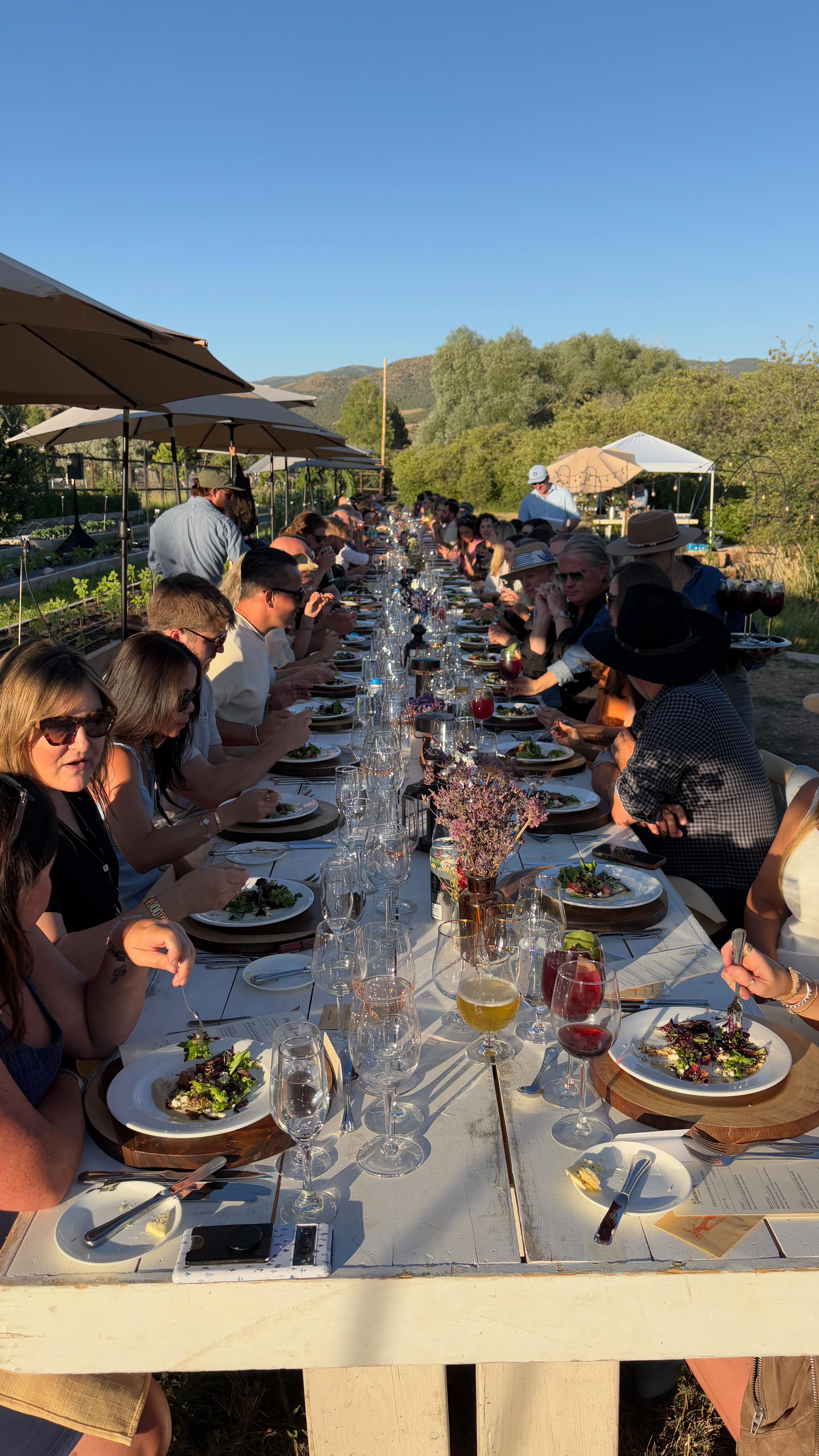 ✨We were delighted to have you at the farm last night for our Annual Garlic Dinner✨
If you would like to join us for one of our farm dinners, head to our website to reserve your seat!