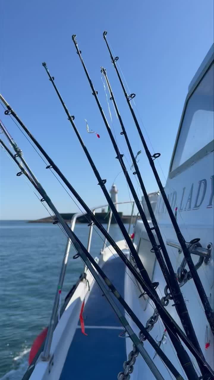 🎣 FISHING TRIPS AVAILABLE 🎣
I have space available tonight ( Thursday 17 July ) at 6.30pm and tomorrow morning ( Friday 18 July ) at 10am for 3 hr fishing trip 🎣
PM the page to book on!
#fishingtripsni #fishingtrip #fishing #mvislandlady #islandboatcharters #islandboatchartersdonaghadee