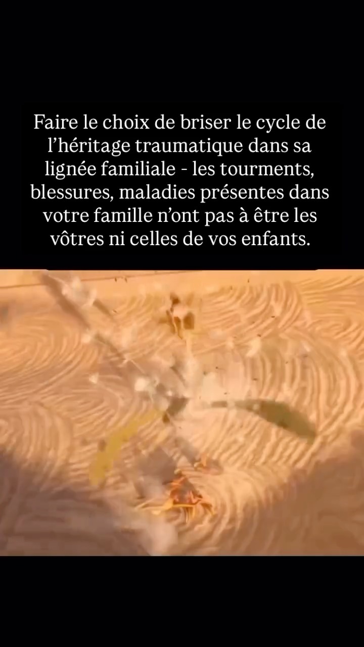Aujourd’hui le regard scientifique commence enfin à comprendre que l’héritage transgénérationnel est un bagage énergétique qui se lègue de système nerveux à système nerveux. — Ces comportements auto-destructeurs, ces addictions, ces troubles, ces maladies telles certains cancers par exemple, que l’on retrouve de génération en génération ne sont plus perçus comme une fatalité. L’épigénétique met en lumière le rôle majeur de notre hygiène de vie, notre environnement et notre état psycho-émotionnel et nerveux dans l’activation ou non de certains gènes. Concrètement, cela signifie que nous sommes bien plus responsable de notre vie et de notre réalité que la science le pensait jusqu’à il y a encore peu. Nos choix peuvent changer notre réalité, notre vie et celle de nos enfants. Dans une société infantilisante constamment à l’affût de notre pouvoir personnel, apprenons à redevenir responsable.