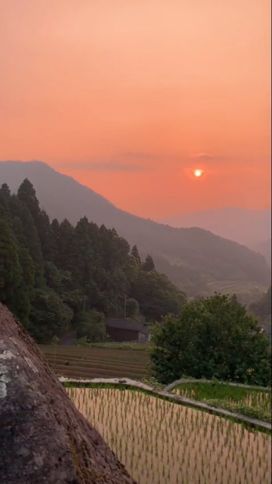 Floating above the world,
these rice terraces whisper the old soul of Japan.
世界の上に浮かぶような棚田。
ここには、日本の古き心が静かに息づいている。
#SkyTerraces #天空の棚田
#JapanHiddenGems #日本の秘境 #TimelessLandscapes #時を超える風景
#natureinharmony #自然との調和