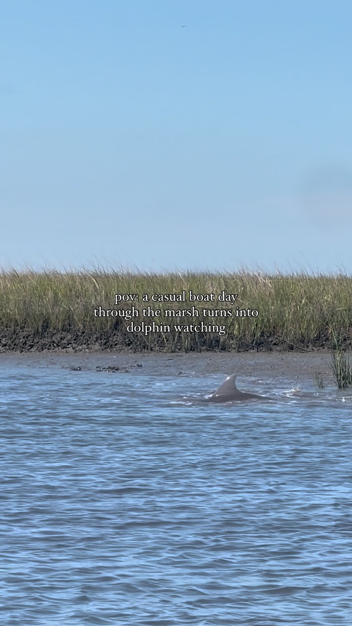 Stay at Bosch Huis and catch magical moments like this ✨🌊
#BoschHuisSavBySea #boschhuis
#savannahga #airbnb #savannahairbnb #travel #bacheloretteweekend #savannahgeorgia #dolphinsighting #marshviews #coastalliving #docklife #southerncharm #lowcountryvibes #waterfrontretreat #natureescape #dolphins #marshlife #coastaliving