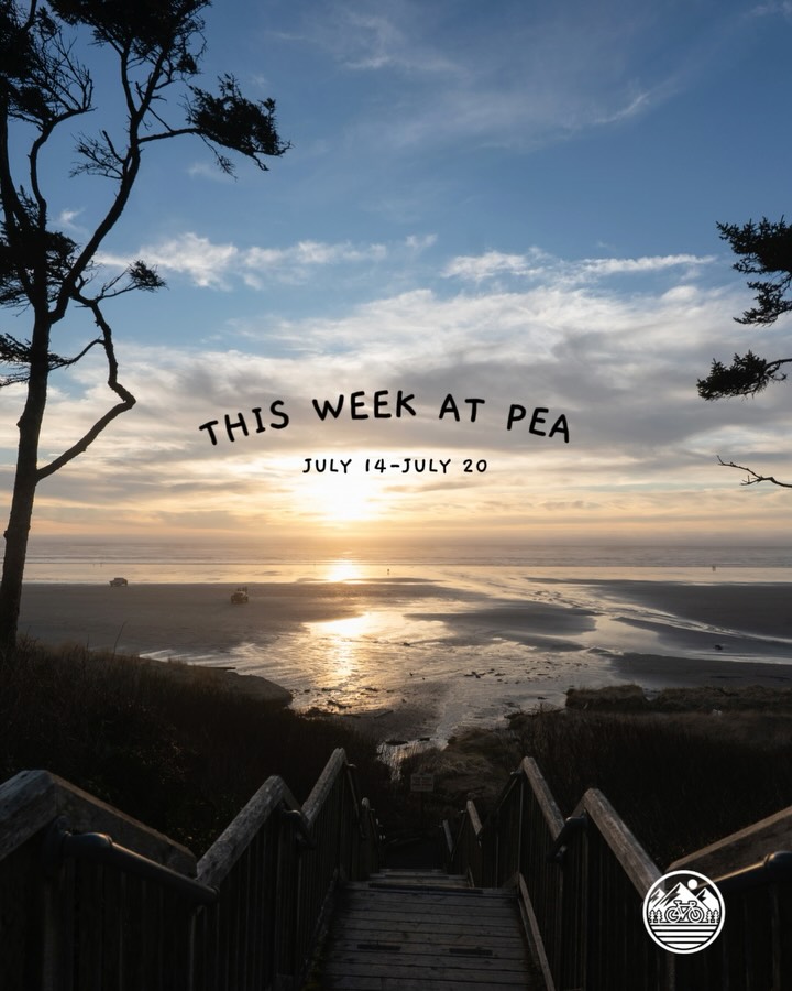 Here’s your line-up for this week at the Fernwood Adventure Park (Lot 546).
Pick your path, grab your crew, and make some Seabrook memories.
💦 Skim Pond
🌊 Ocean Rhythms
🌲 Rainforest Ranger
✨ Enchanted Forest Quest
DM “ADVENTURE” to save your spots - let’s get wild out there.
#SummerAdventure #PNWFamilyFun #SeabrookWA #AdventurePark