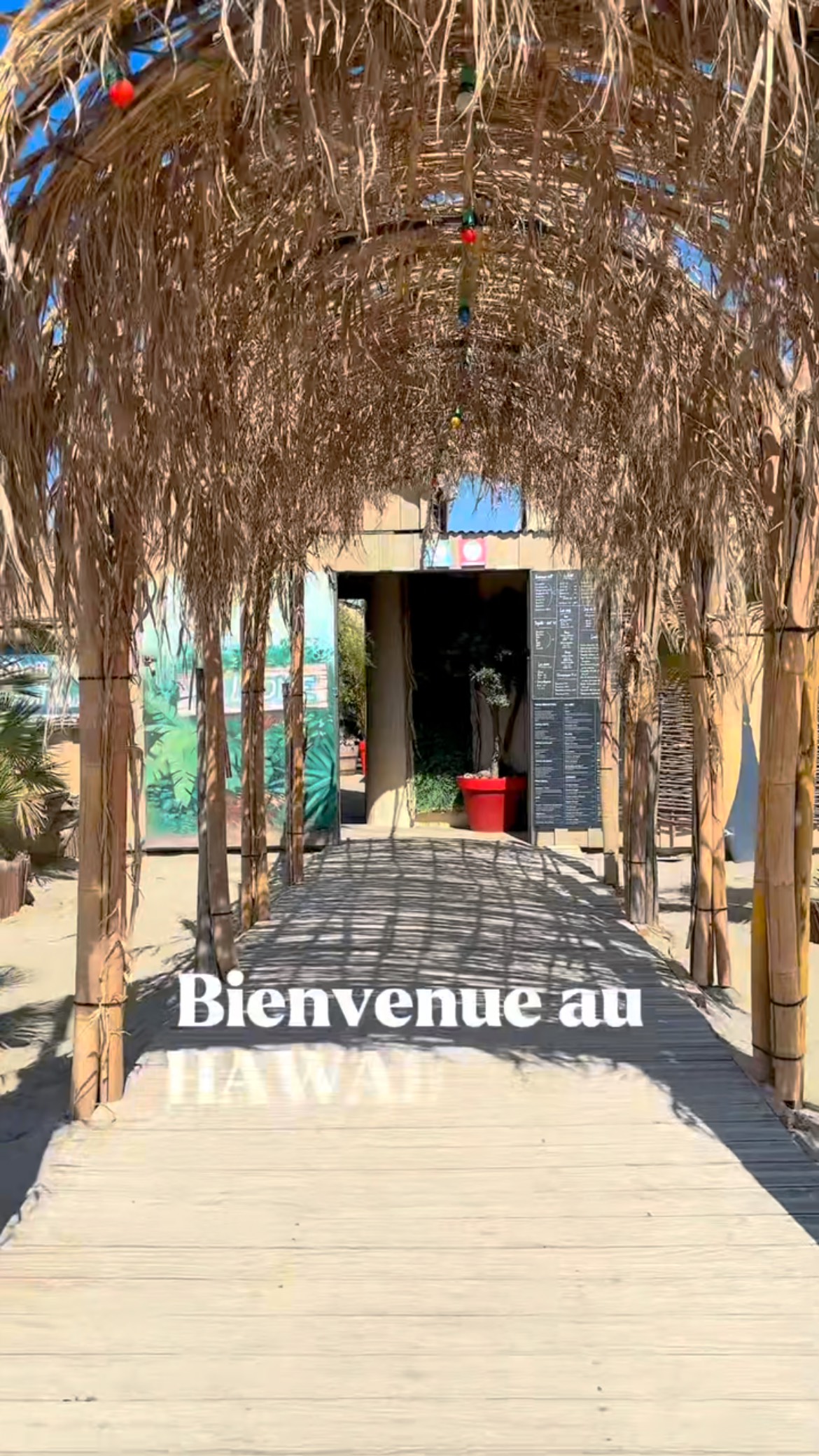 🌴 Bienvenue au Hawaii Club – Votre paradis à Argelès-sur-Mer ! 🌊☀️
Imaginez-vous les pieds dans le sable, face à la Méditerranée, cocktail à la main… C’est exactement ce qui vous attend au Hawaii !
✨ Ce que nous vous proposons :
✅ Plage, transats & beds – Profitez d’un espace détente tout confort, avec service à votre matelas. Serviettes à disposition, douches & parasols
✅ Restaurant & bar – Des plats frais et gourmands, des tapas à partager, et des cocktails exotiques qui sentent bon l’été. Glaces & desserts gourmands
✅ Ambiance musicale & soirées à thème – Tous les jeudis retrouvez l’équipe de @_glowagency pour un dîner show exceptionnel !
✅ Service premium – Équipe souriante, cadre paradisiaque et vue imprenable sur la mer.
📞 Réservez votre transat ou votre table dès maintenant par téléphone :
👉 07.49.77.57.89
🌐 Toutes les infos & le menu sont disponibles sur notre site :
👉 www.hawaii-restaurant-plage.fr
📍 Retrouvez-nous directement sur la plage d’Argelès-sur-Mer – le spot idéal pour vos journées ensoleillées !
💛 Hawaii 66 – Là où l’été ne finit jamais.
#Hawaii66 #ArgelesBeach #BeachClubFrance #PlagePrivee #SudDeFrance #MediterraneeLife #ArgelesPlage #BeachVibesFrance #SummerInArgeles #SeaLovers #CoteVermeille #BeachDayFrance #VacancesSud