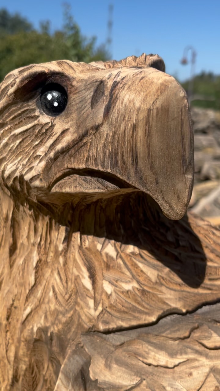 Vom Krach zur stillen Ewigkeit.🤙🏻😎