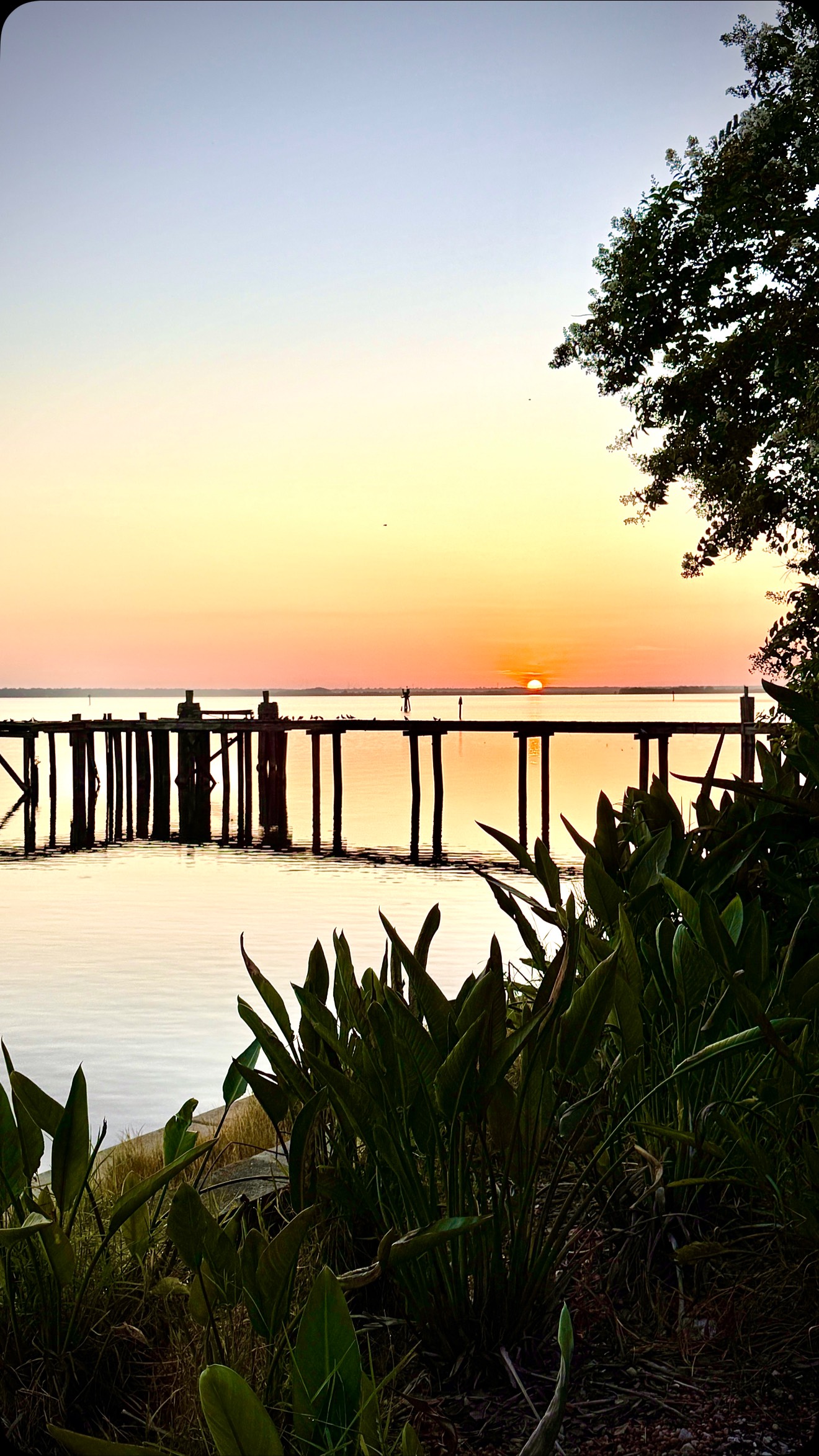 Honestly never thought I’d walk more than a half mile after cancer treatment and Whipple surgery. Yesterday, we woke up at 4:30am to walk six and a half.
One of the things they kept pressing into me after Whipple surgery was to walk. It would help me heal faster they said. I didn’t even want to walk to the mailbox. I didn’t even want to walk to the toilet. And there were many days where that’s as far as I could go. Especially since we had to continue chemo after surgery.
But here I am 4 years later. 80 degrees at 5:30am, a bahjillion percent humidity, and enjoying myself.
#WhippleWarrior #CancerSurvivor #LifeAfterChemo #WhippleSurgeryRecovery #PancreaticCancerAwareness #WalkToHeal #CancerRecoveryJourney #RareButResilient #MorningMiles #LivingRarely #ResilientAF #PostWhippleLife #ChronicIllnessWarrior #HealingIsMessy #FromMailboxToMiles #WhippleLife #SurvivorStrength #JustKeepWalking