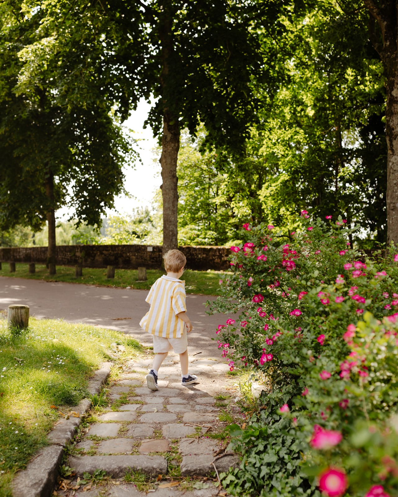 🎨 La retouche, ce n’est pas tout !
Avec l’expérience, j’ai appris que la vraie différence se fait dès la prise de vue.
Quand la lumière est bien gérée, les réglages sont précis et le cadrage est soigné, les photos brutes sont déjà très proches du rendu final ✨.
C’est ce qui me permet de vous livrer rapidement : parce que 80 % du travail est fait au moment où j’appuie sur le déclencheur 📸.
Alors, à quoi sert la retouche ? À apporter ma patte artistique, à harmoniser la série, à donner cette petite touche qui fait que mes photos sont vraiment moi.
C’est aussi pour ça que vous me choisissez : pas seulement pour appuyer sur un bouton, mais pour mon regard et mon style !
Et vous, vous êtes plutôt team avant/après ? 👀
——
#retouchephoto #photosnaturelles #melanievauryphotographe #photographefamilleoise #photographefamillesenlis