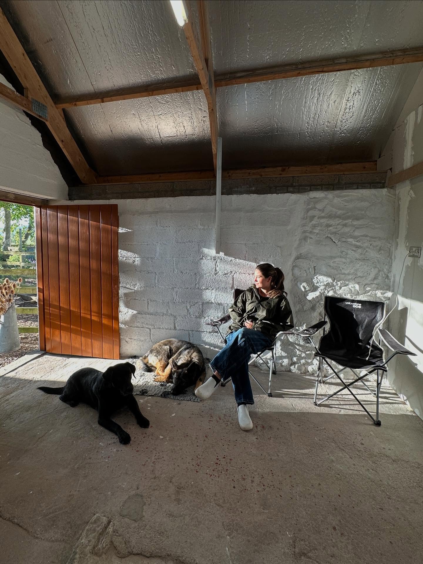 Hanging out with the dogs a while back reflecting on the progress, trying to stay positive in the midst of what seemed like total chaos at the time.
It’s a brilliant little sun spot ☀️
Swipe to see the many different stages 📸
Special thanks to my Mum’s friend who skimmed the wall 🤗 there are still some little bits to touch up but I’m so happy with it and to be moving onto the next stage - the floor 🤩
#studioreno #furniture #furnitureflip #paintedfurniture #homedecor #interiordesign #upcycledfurniture #furnitureartist #diy #chalkpaint #refinishedfurniture #vintagefurniture #furniturerestoration #furnituremaker #chalkpaintedfurniture #interior #vintage #upcycle #decor #refurbishedfurniture #furnitureonline #design #furniturepainter #sustainablelifestyle