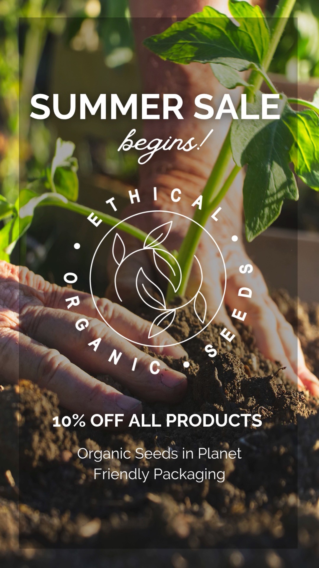 We are launching our Summer Sale!! ☀️
10% off all products 🌱🌱🌱
It's the perfect time to sow Kale, Cauliflower, Kohl Rabi, Tatsoi, Carrots, Radishes, Beetroot, Spring Onions 🤩
Fill those spaces with organic heirloom seeds packaged in planet friendly packaging ♻️
Go to www.ethicalorganicseeds.co.uk to get yours.
#organicgardening #organicseeds #allotmentuk #allotmentlove #allotmentgarden #nodig #growyourownfood