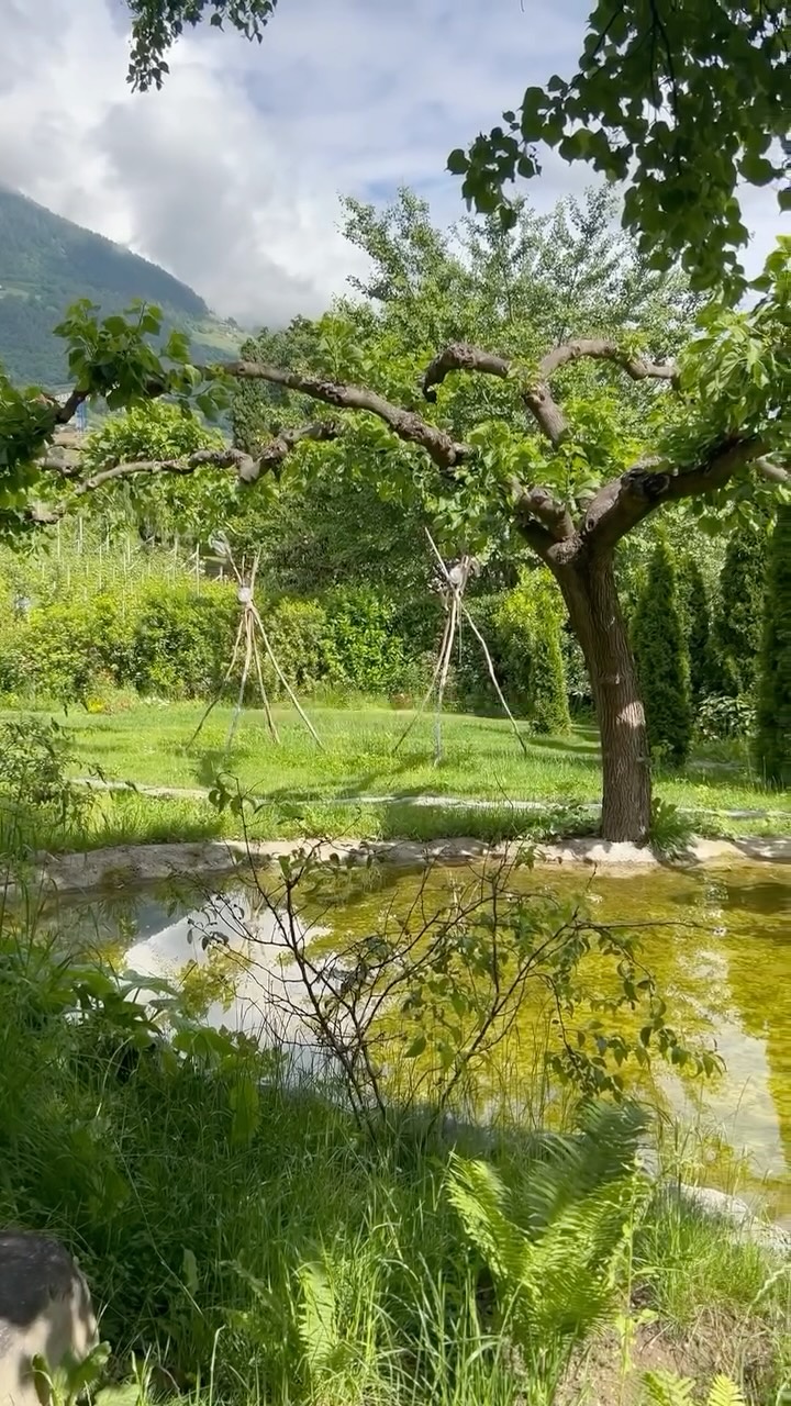 ✨ Kunst, Natur, Gemeinschaft – wenn das dein Vibe ist, wirst du dich bei uns wie zuhause fühlen.
Der Kunstgarten im Kränzelhof ist kein Ort, den man einfach besucht – er ist ein Ort, den man erlebt. 🌱🎨🤝
#KunstImGarten #KunstUndNatur #KunstBegegnetNatur #KulturInSüdtirol #Kränzelhof #K.artKulturverein #CommunityVibes #ArtLoversWelcome #NatureMeetsArt