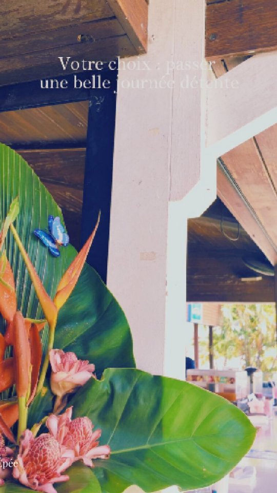 Chaque instant chez nous est un moment d'évasion 🔆 ➡️ Offrez-vous une journée all inclusive pour en profiter
✅ Pass journée disponible tous les jours avec ou sans réservation et valable entre 10h et 17h
Renseignements 📞 0590 904034
#daypass #allinclusivehotel #allinclusiveresort #journeealhotel #hotelguadeloupe #fwi #gosier