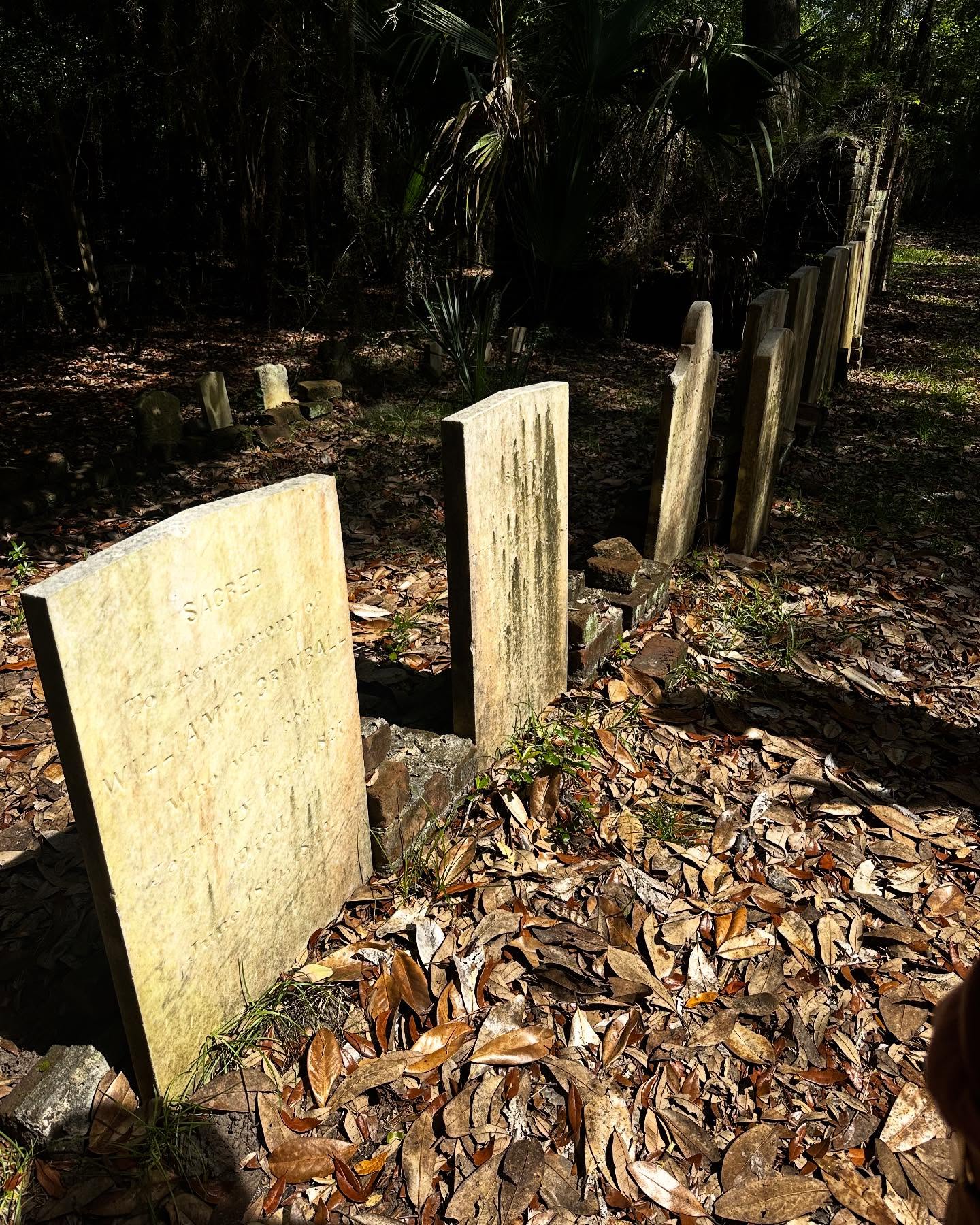 Don’t miss the 4th annual Preserving Historic Cemeteries workshop, hosted by the South Carolina Department of Archives and History! This workshop offers insights into funding for cemetery preservation, research programs available, and firsthand preservation experiences.
When? September 18th!
Register by visiting the SC Archives and History Foundation website 🪦