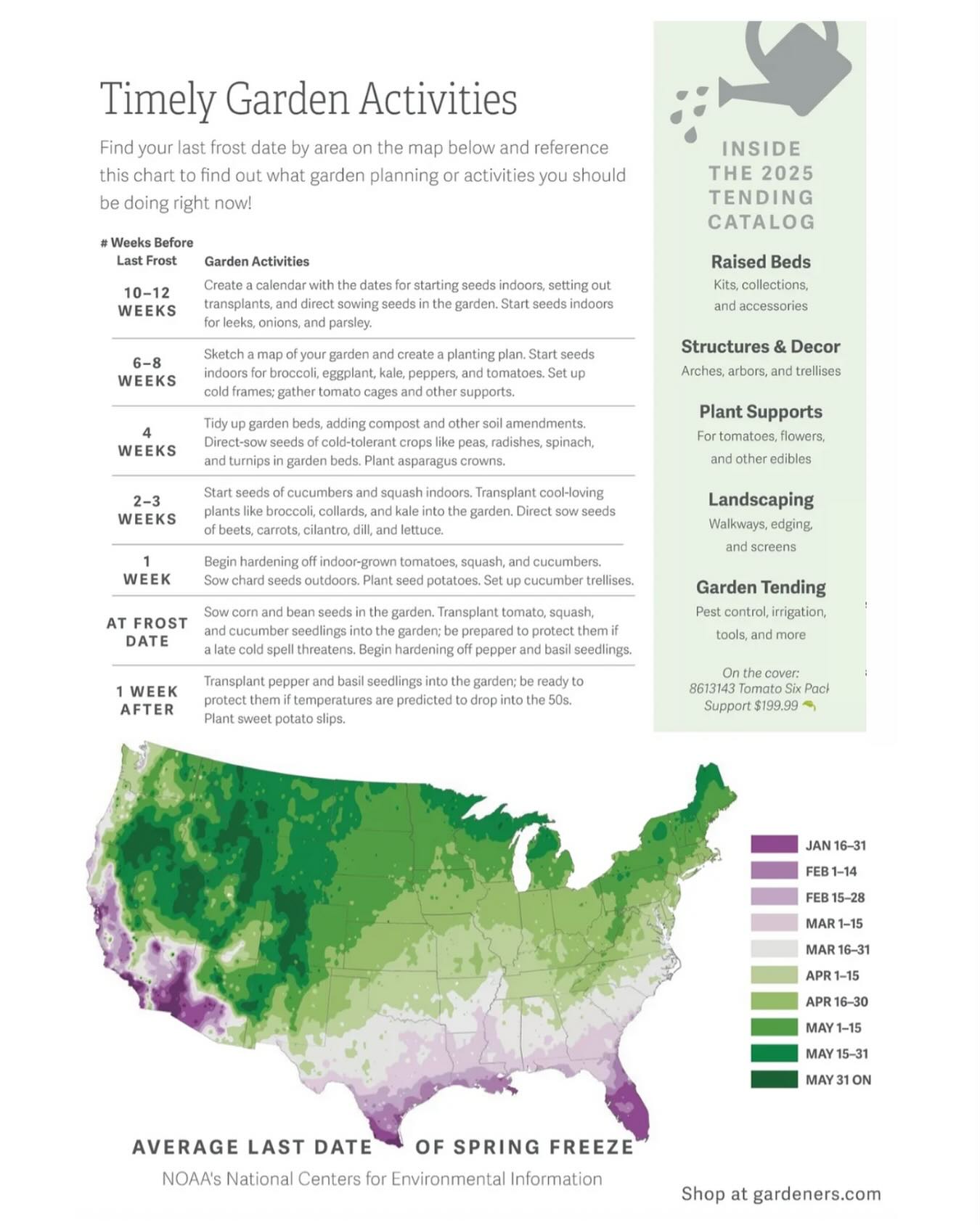 Average Last Frost Date Map (2024)- Adobe Illustrator
This data visualization was created to show the average last spring frost date for gardeners, using data from NOAA‘s national center for environmental information. The color pallet was drawn from Gardener’s Supply Company’s current branding to ensure visual consistency. This graph can be found in Gardener’s Supply’s 2025 print catalogs and on their website.