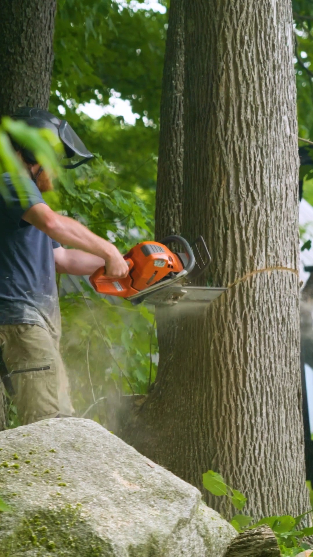 A highlight reel for some. Just another Monday for Maine's most trusted arborists.
.
.
.
.
#belangertreecare #arborist #arboristsofinstagram #skowhegan #skowheganmaine #forestry #chainsaws #centralmaine #mainebusiness #treecare #treecarebusiness #treeclimbers #logging