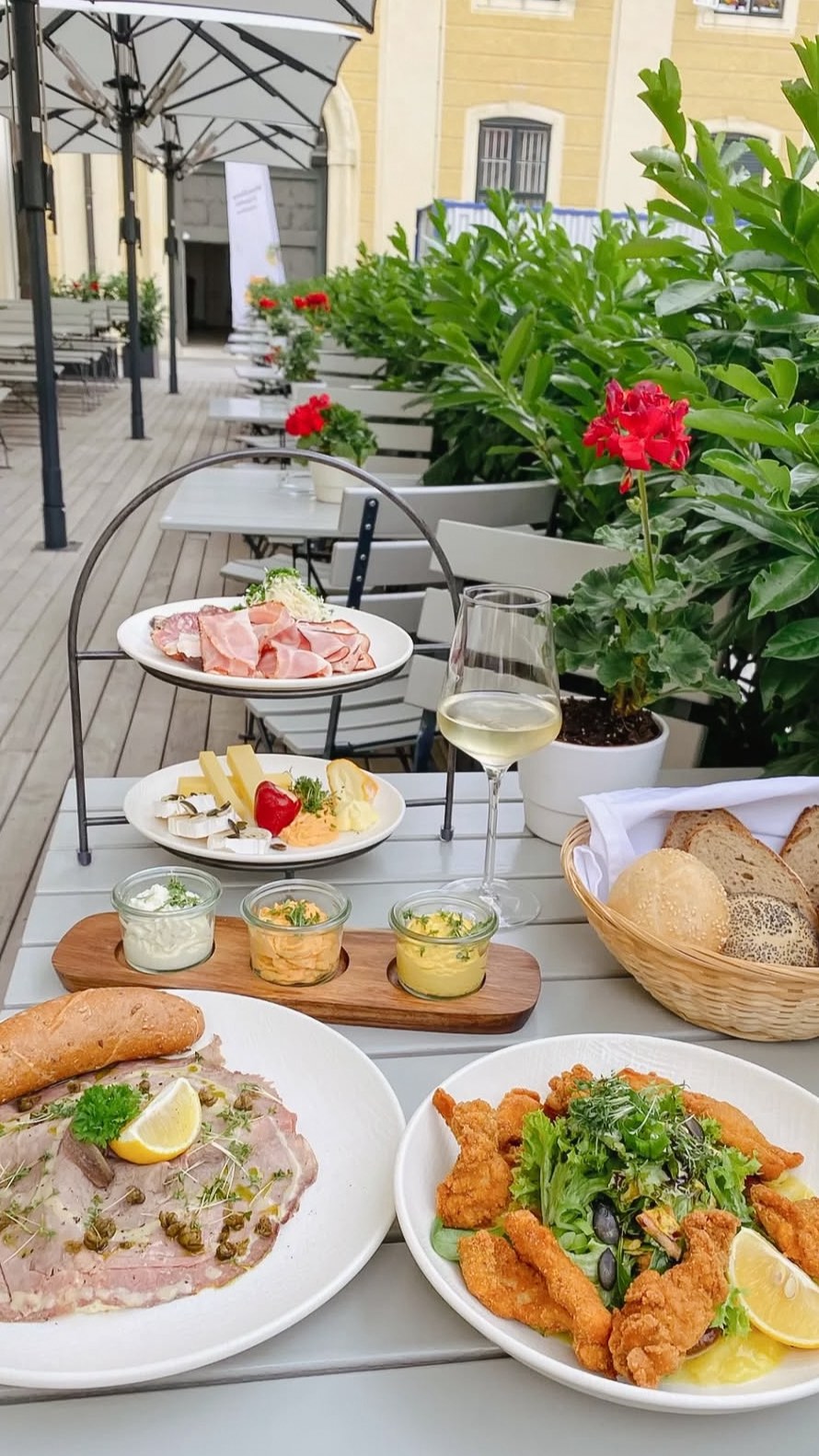 Discover the perfect blend of history and flavor at Joseph II. in Schloss Schönbrunn. Save this for your next visit and indulge in authentic Austrian cuisine! 🍽️✨
#SchlossSchönbrunn #Vienna #VisitVienna #VisitSchlossSchönbrunn #JosephII #RestaurantWien #GastroNews #ViennaFood #Viennesecuisine #WienerKüche#visitAustria #ViennaFoodGuide #WheretoeatinVienna #WienerSchnitzel