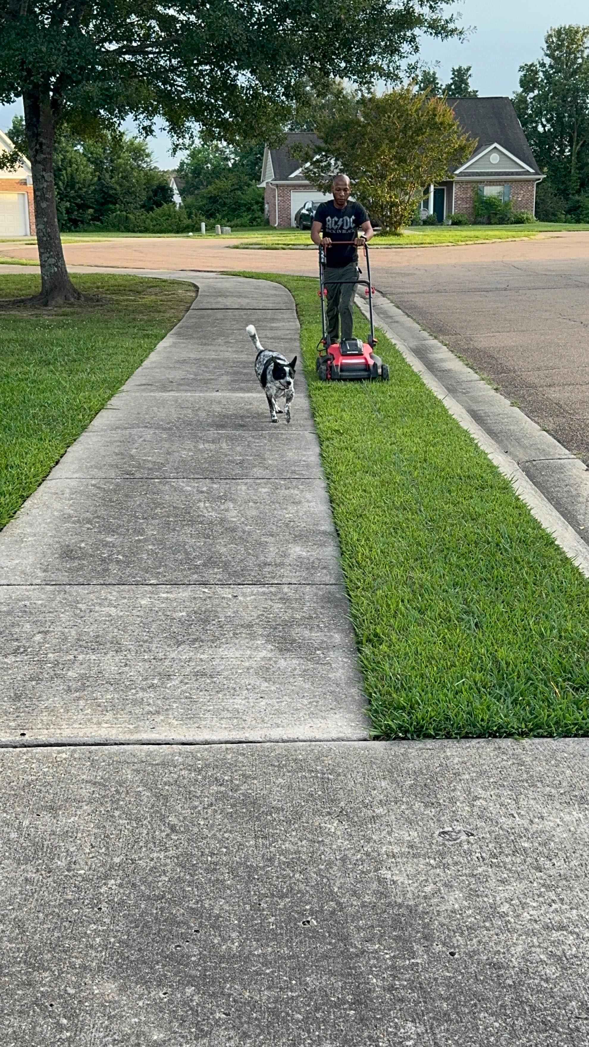A quick night cut. Watch me work!🎯🌱
#Lawncare #GreenGrass #Landscape #VerdantWorks #edging #blowing #weedeating #reels