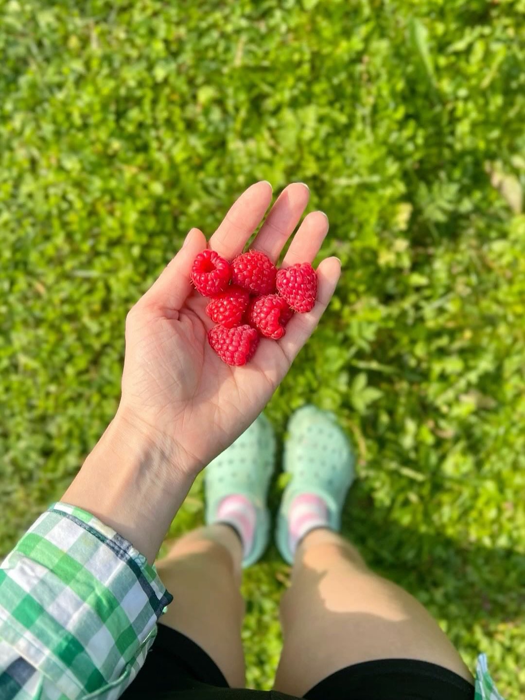 HINDBÆRNYHED! 🇩🇰🤤🇩🇰🤤
Så kom de endelig 🥲 Hindbær hører naturligvis dansk sommer til! Så nu kan du finde store og flotte danske hindbær hos Det Glade Jordbær
Kom ned forbi og få en smagsprøve i vores boder og køb en lækker kasse til 175,- eller 3 bakker til 95,- ☀️🇩🇰
I boden vil du også kunne finde friskplukkede kirsebær, jordbær og meget meget mere… 🍓🍒🥔🫛🍹
Vi har åbent hver dag hele sommeren fra kl 10.00-18.00
Find vores boder her - detgladejordbær.dk “find telt” 🎪🇩🇰
Vi glæder os til at se dig! 😁