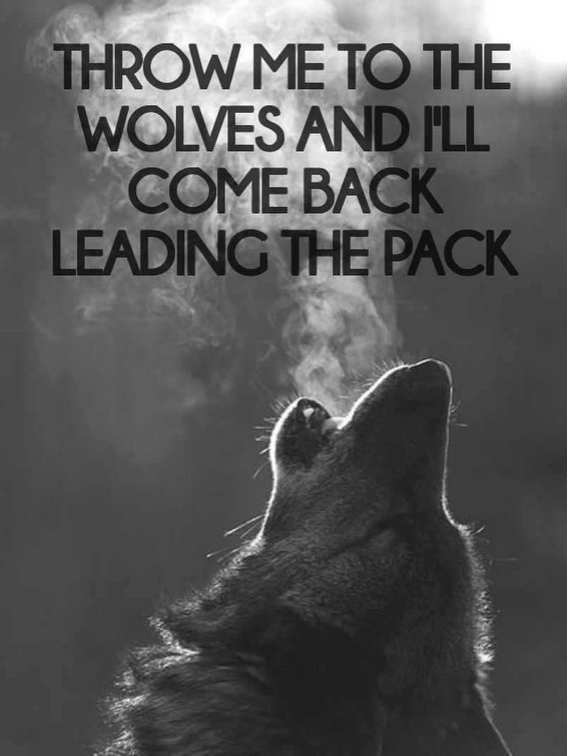 🚨New Episode Alert 🚨
This episode is in the form of a short motivational speech — enjoy!
You weren’t born to play small or stay stuck.
This episode is a wake-up call to anyone ready to stop waiting and start rising.
If you’re tired of shrinking and ready to step into your power, this message is for you.
Turn your pain into your foundation, and claim your purpose. Rise Up.
This one’s for anyone who’s tired of waiting and ready to step into their power.
You’re already in pain—so why not use it?
Let this message inspire you to rise above doubt and fear.
Listen now on Spotify, Apple Podcasts, or wherever you get your podcasts.
-
-
-
-
-
-
-
-
-
-
#podcastpainintopower #riseup #motivation #selfdevelopment #purposedriven #motivationalspeech #motivational #stopplayingsmall #higherself #futureself #success #newpodcast #newpodcastepiosde #newepisodealert #newpodcastalert