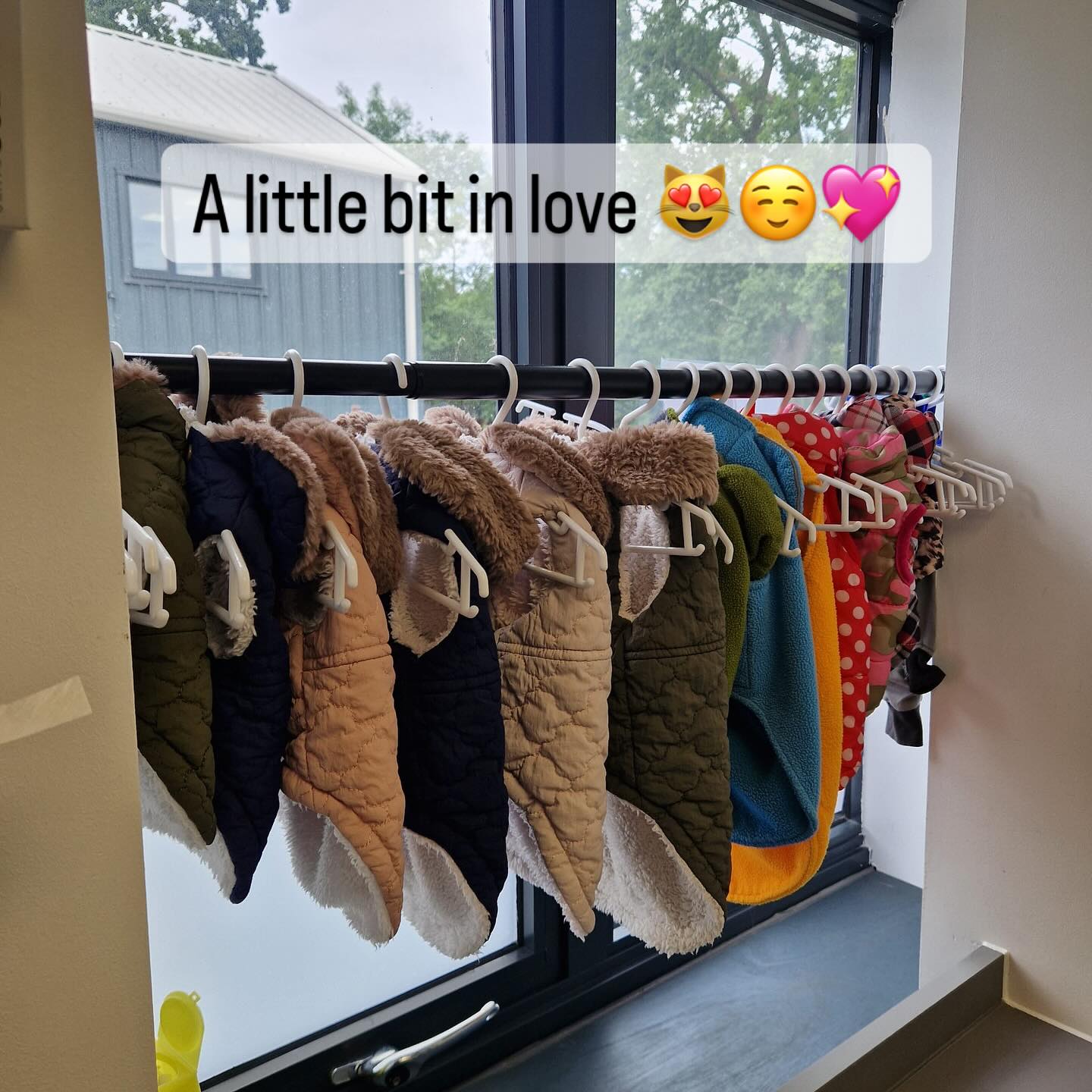 I was sent this image from an amazing cat clinic @graylands_cat_clinic who have purchased lots of our patient warming jackets 🥰 I SO wish we had the space to do this- the perfect wardrobe to keep all your patients cosy warm! If you’d like to take a peek at our jackets we have available you can do so on our website www.burtysboutique.com I would also massively recommend @graylands_cat_clinic if you’re looking for a feline only clinic in Sussex 😻🐾👍
