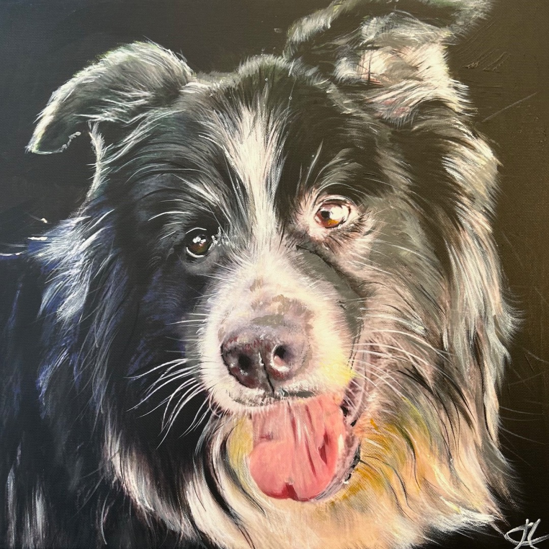 Meet Bobby! ๐พ
Bobby is a beautiful and very clever Border Collie.
Collies were developed on the border between England and Scotland (hence the name), primarily to herd sheep. Famously known as workaholics!
#thedogportraitartist #dogloversofuk #dogsarefamily #oilpainting #clivehemsley #dogsofinsta #dogsofinstagram #dogmemories #painter #paintmydog #dogsoflymeregis #dogs #dogportraits #artist #ilovedogs #puppy #puppiesofinstagram #pet #petsofinstagram #cutedogs #Bobby #BorderCollie #Collies #WorkingDogs #workaholics @border.collie.ig @border.loyal @border.collie_fans @bordercolliesoftheworld @bordercolliescommunity
