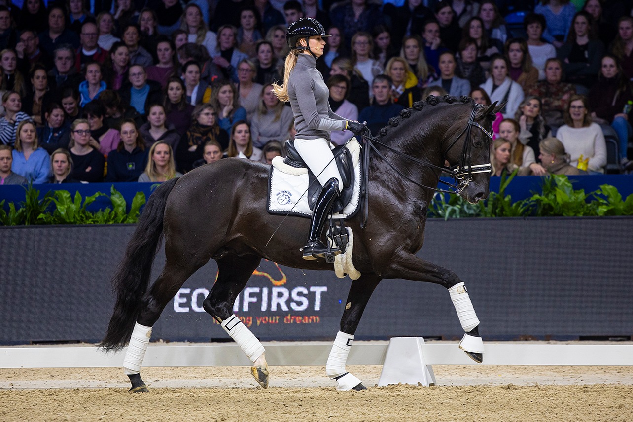 Overall 8 mare Hanoverian Premium Fabienne QC (Franziskus FRH x Royal Classic x Diamond Hit) is in foal to Lowlands OLD for 2026! Rideability, beauty, and character built-in on this one.
📸: Lowlands OLD by @digishots
📸: Han. Pr. Fabienne QC by @tarajelenic_photography
#quanticosporthorses #equine #horses #horsesofinstagram #breedingwithapurpose #breedingforthefuture #dressage #dressagehorse #foal #foalsofinstagram #lowlandsstallion #franziskusstallion #franziskusfrh #hanoverian #hannoveraner #americanhanoveriansociety #foalsof2026