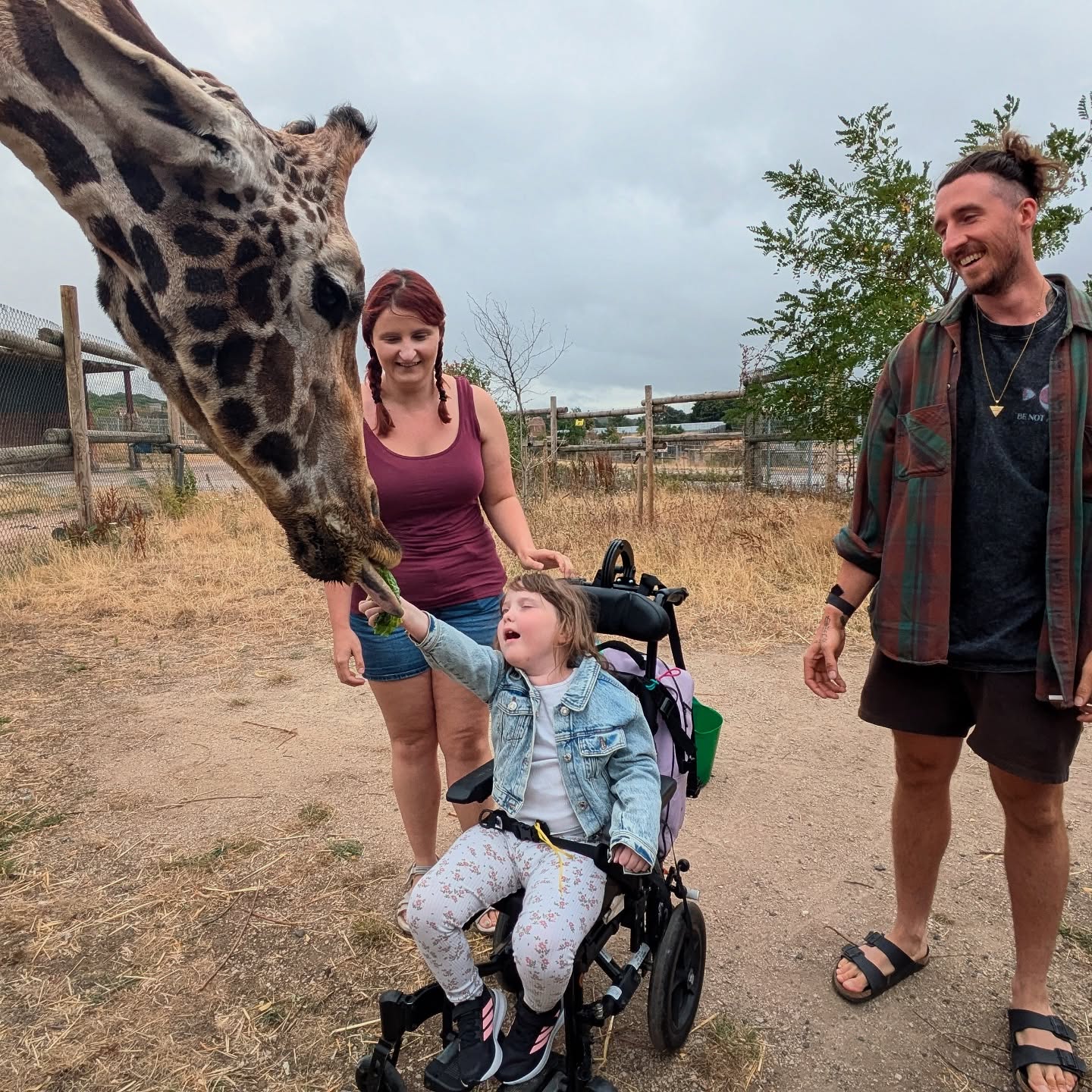 Ok turns out feeding giraffes is actually a lot of fun 🦒