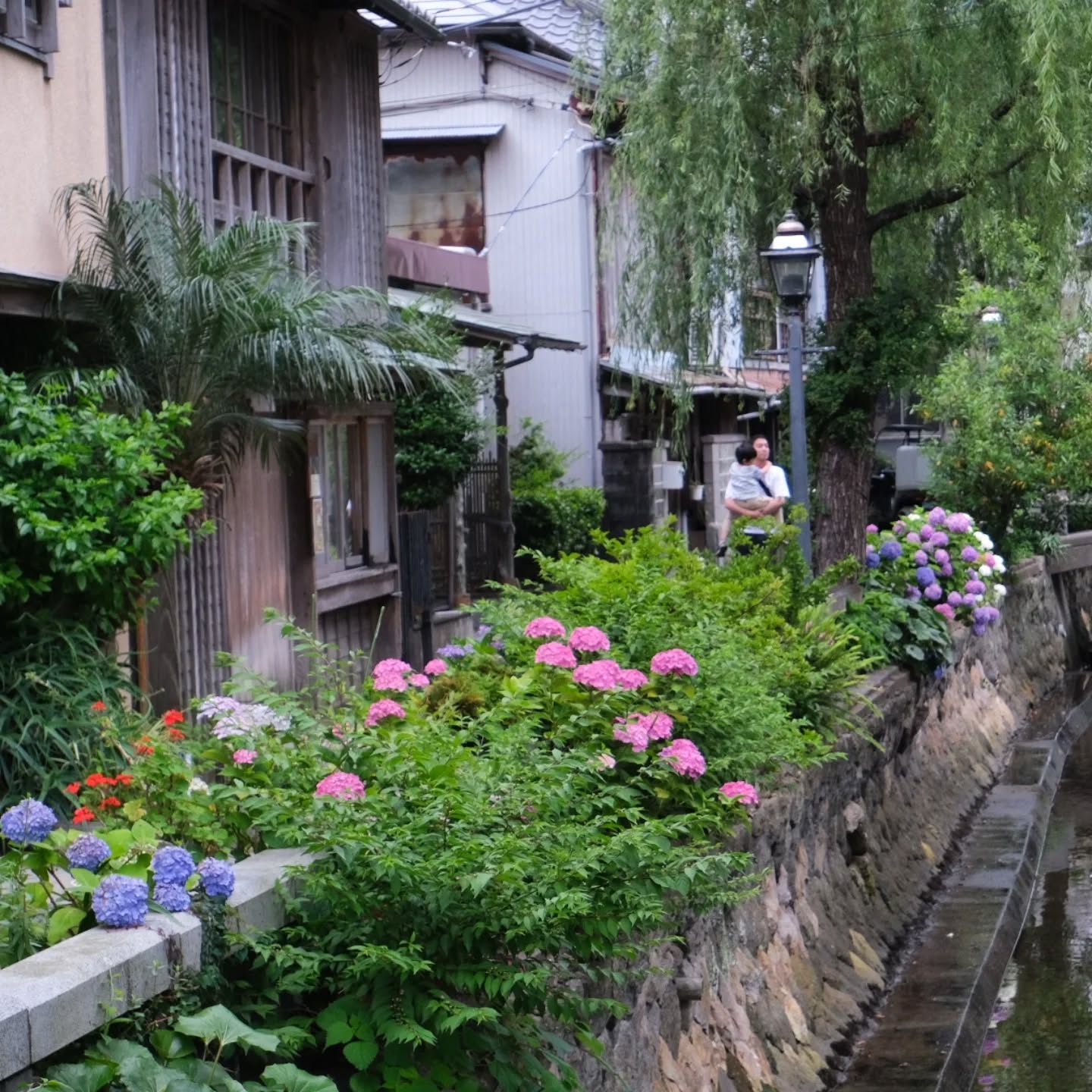 Les points sur les "i"
Après des années à être aimable avec tout le monde, j'ai décidé de ne plus répondre à certains messages. On met les barres sur les T.
Mots clés : fuck off
Hashtags: #vivreatokyo
#viejaponaise #viedauteur #viedautrice #japon #journalisme #pigistedelextreme #francaisesaujapon