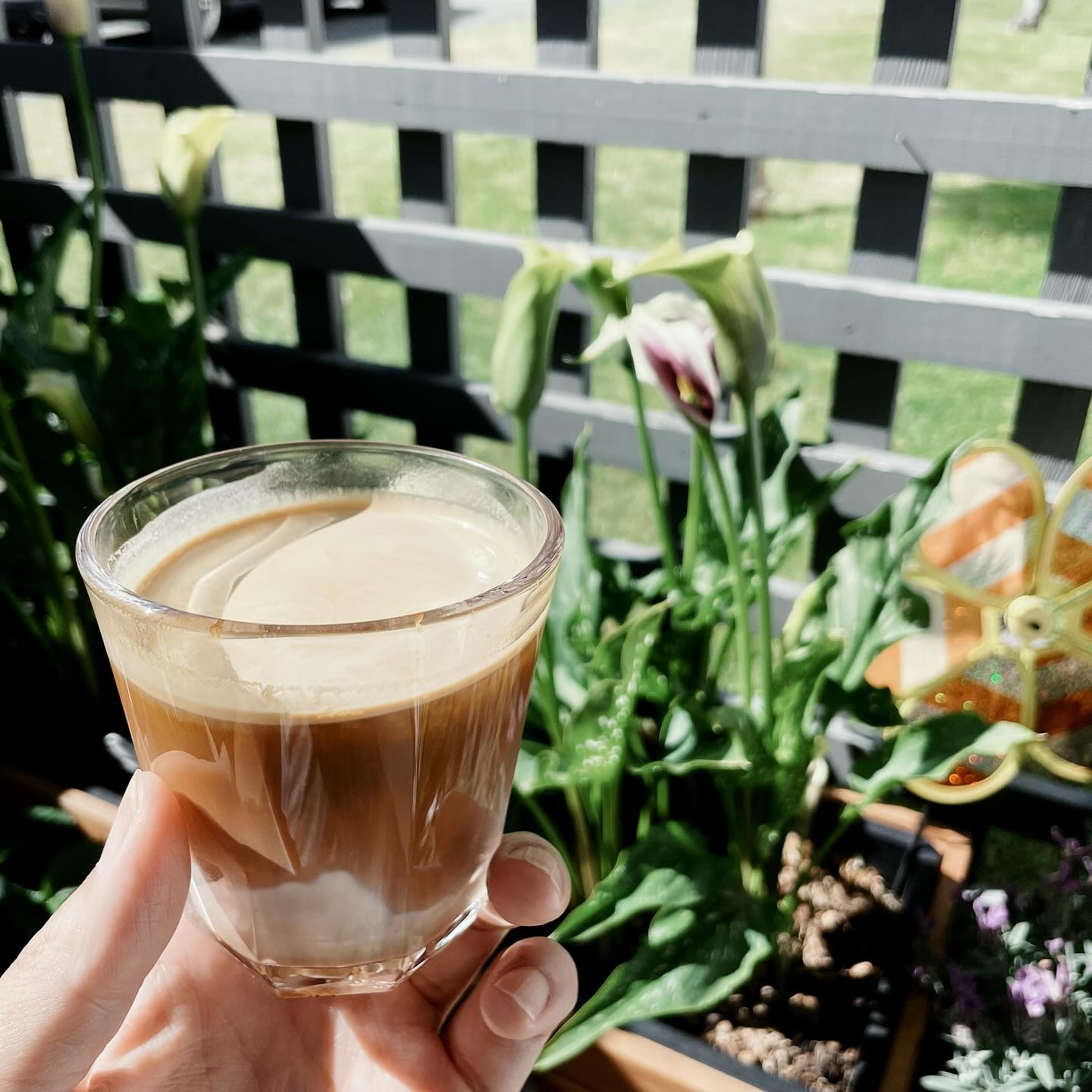 It’s a hot summer day! Great time for an iced latte
Mine’s made with something special:
Granja El Paraíso 92 – Yellow Tabi Natural
Now that it’s been rested for two weeks, the espresso is tasting like:
Mango, lychee, and chocolate: smooth, juicy, and absolutely perfect for a summer iced drink.