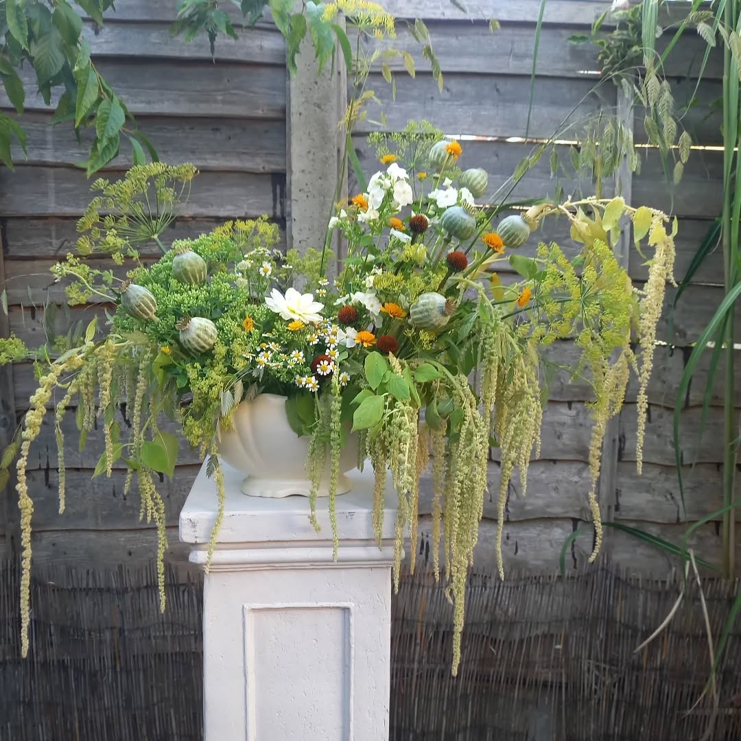 When I was a child, I used to draw to express myself, I could be kept happy for hours with piles of computer paper (with the little holes down the edges) from my dad's work and a set of pencils.....
As I entered my teenage years theatre and acting became my creative outlet. If I wasn't at home I'd most likely be at the Lawrence Batley Theatre in Huddersfield rehearsing, at youth theatre or at a workshop....eventually leading me to pursue a professional training and career....
Now I express myself through flowers, their shapes and textures, their wiggles, their blooms and seed heads. They calm me. They fascinate me. They excite me.
I suppose floristry, like theatre, is transient - there for a moment or two. It can have a big impact, it is something that brings joy, meaning and is something that anchors in people's memories.....
I had a lovely Sunday faffing with wedding leftovers and creating this arrangement 🌿 hope you enjoy seeing it as much as I enjoyed creating it
#surreyflorist #floralarrangements #nofloralfoam
#vintagevase #londonweddingflorist #surreyweddingflorist #creative #carshalton
#carshaltonbeeches