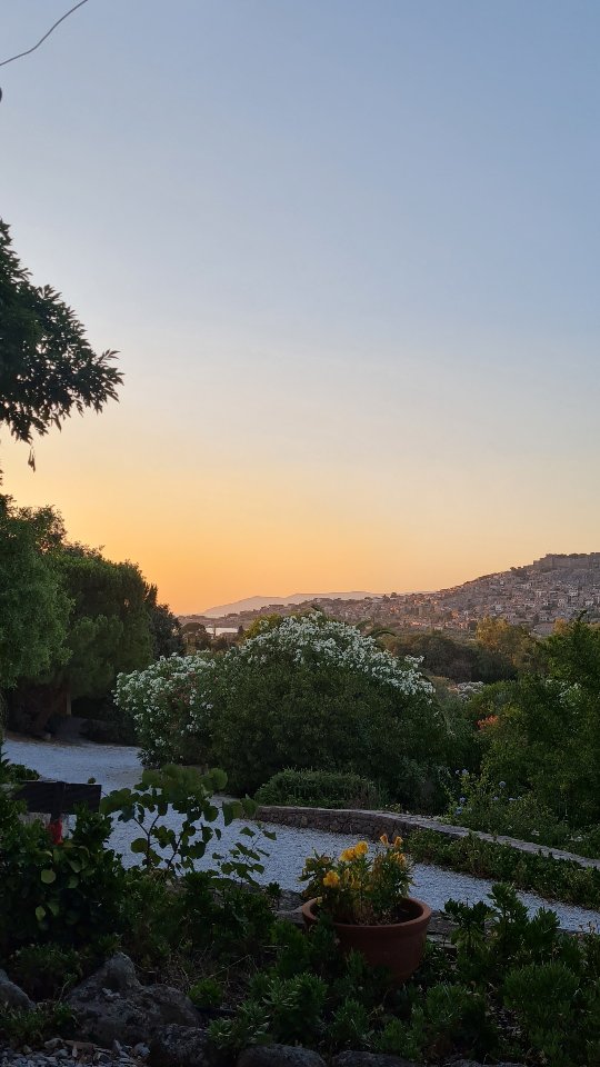 Igen i år handlede uge 27 om, at fylde min egen kop - ind i sanserne og ud af tankerne 🧘🏼♀️🌞🥰🌴🌵
Yogaretreat med @blaahimmelyoga på Lesbos. En masse dejlig yoga, meditation, refleksion, strand, vand, natur og selskab af skønne mennesker.
Håber også sommeren er god ved dig 💛
.
.
.
#yoga #yogaretreat #Lesbos #levsos #milelja #ro #atfyldeminegenkop