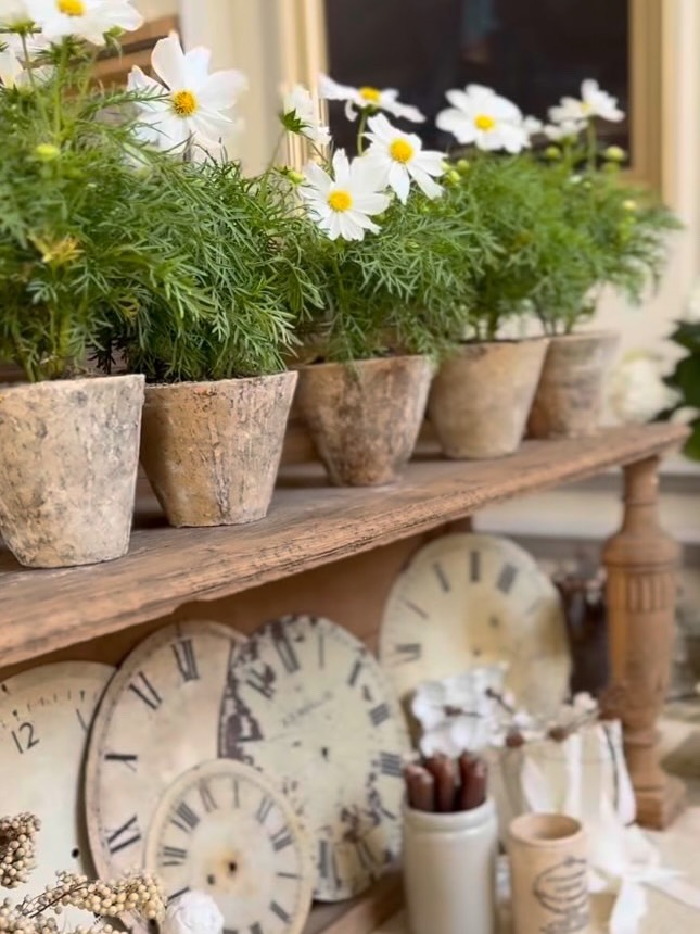 Introducing our Exhibitors 🤍
@homeandvintageliving
Beautiful rustic interiors & lifestyle ~ mixing the old with the new and a touch of the unusual 🤍
We are so pleased that lovely Jules @homeandvintageliving will also be joining us at the Summer Brocante @moylescourt on 25th August 🌿
Come and shop with our fabulous small independent businesses, follow their accounts and meet them in person at the Brocante 🤍
Monday 25th August 🎪
10 - 4pm
Moyles Court School
Nr Ringwood
New Forest