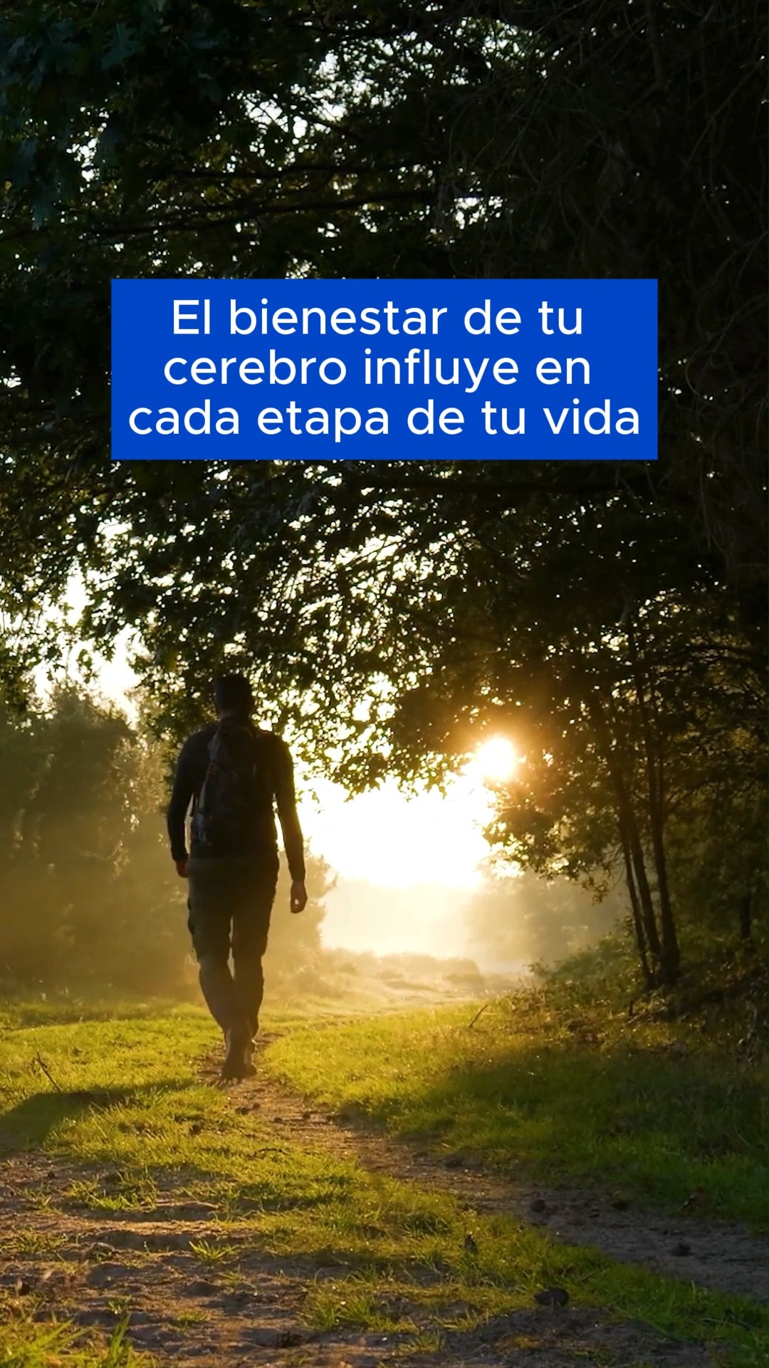 En Neura Institute utilizamos tecnología de vanguardia como el mapeo cerebral cuantitativo y la tomografía LORETA para descubrir cómo funciona tu cerebro en tiempo real. Así identificamos las áreas que necesitan equilibrio y activación.
Con esta información diseñamos un plan personalizado que combina Neurofeedback para entrenar tus ondas cerebrales y Neuromodulación para estimular redes neuronales clave, ayudando a regular emociones, mejorar la atención y potenciar tu bienestar.
Y para llevar tu terapia a otro nivel, suscríbete a nuestras neuroterapias To-Go, sesiones diseñadas para potenciar los efectos desde cualquier lugar.
Citas Whatsapp: +52 44 22 34 27 55