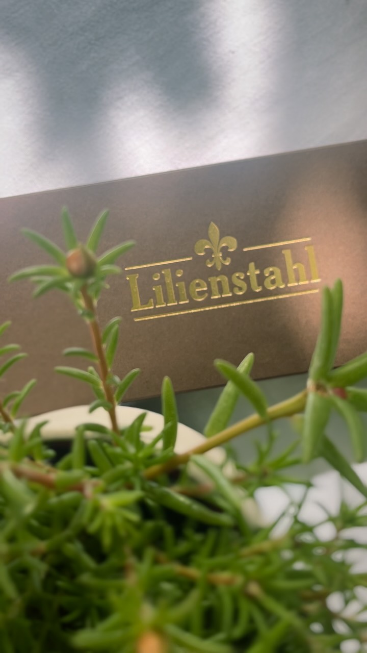 SCHÄRFER GEHTS NICHT! 🔪
Messer von @lilienstahl sind in jeglichen Lebenslagen einsetzbar aber in der Küche unverzichtbar!
Danke für die tolle Qualität - jedes Messer ein scharfes Gerät! 🔥
Beste Schneid dies gibt!
Schauspielerische Leistung, großes Wow! ;)
#proudpartner