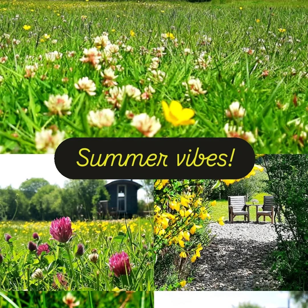 Summer vibes @heartoftheglen 🌞