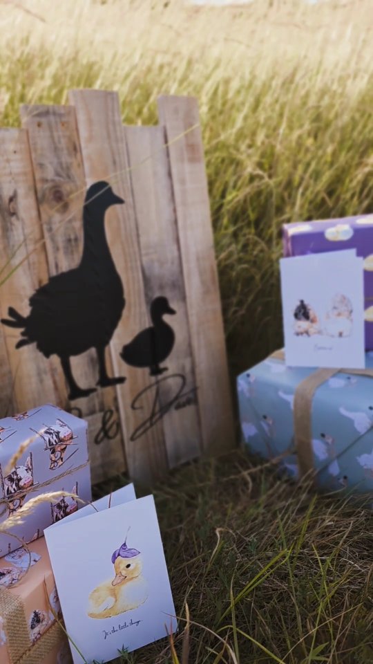 Our eco-friendly gifting solution range inspired by the unlikely but beautiful friendship of Gus our Sebastopol Goose and Dave the Call Duck is now live on the website. (Link in bio). The wonderfully talented @thedogandducksdesigns has hand painted pictures of their fluff butts and friends.
Make the most of a 10% discount when you buy 3 or more items.
#specialoffer #wrappingpaper #greetingscards #gifttags #ecofriendly #recycled #handpainted #watercolours #gusanddave #ducksofinstagram #geeseofinstagram #pekinbantams #smallbusinessuk #womenowned #wingsandpawsatwisteria
