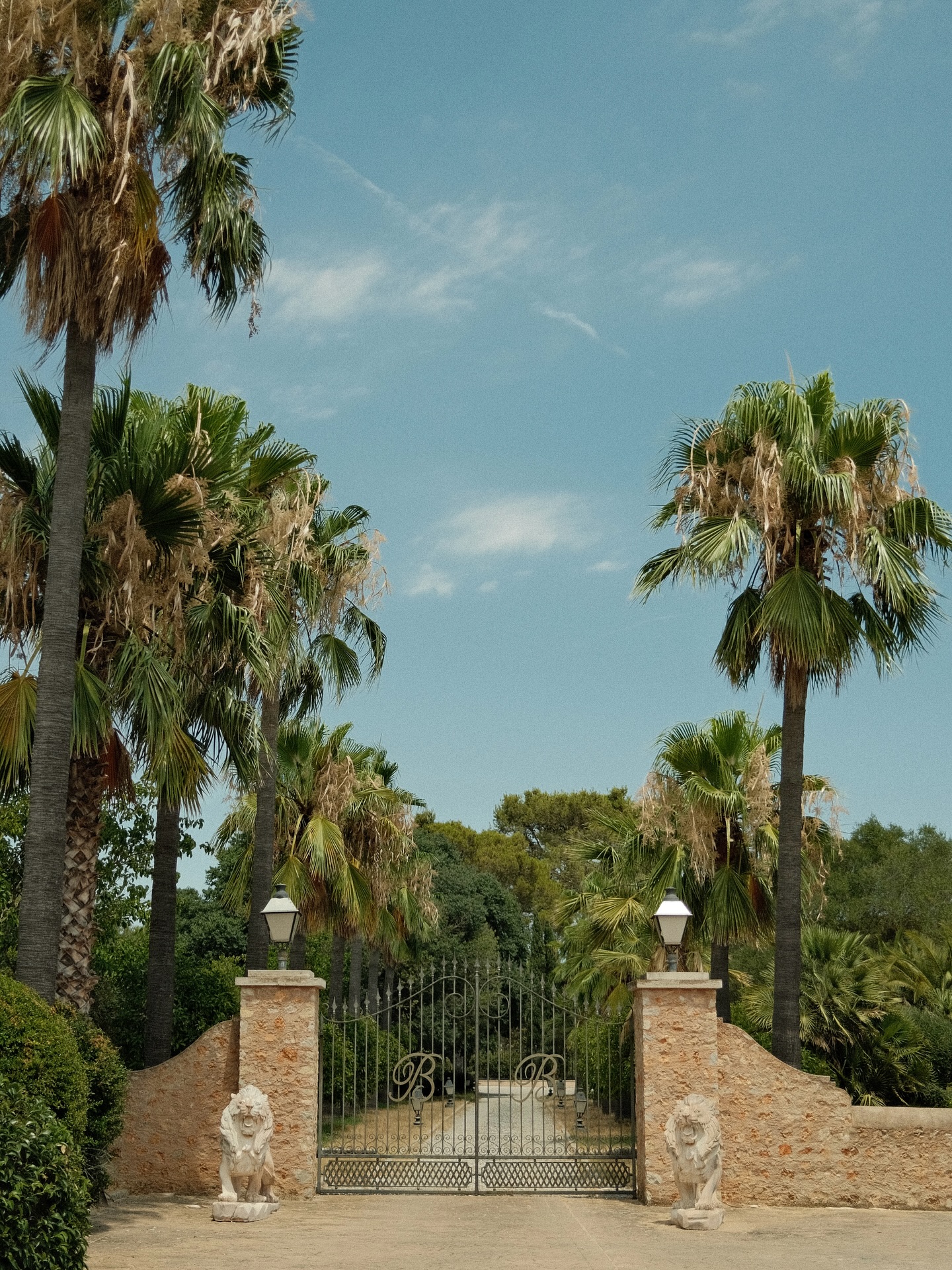Getting Married at @fincabiniagual is a dream 🤍
#fincabiniagual #mallorcawedding #destinationwedding #weddingphotographer #weddingphotographermallorca #destinationweddingmallorca #melinawaliczekfotografie #wedding2026