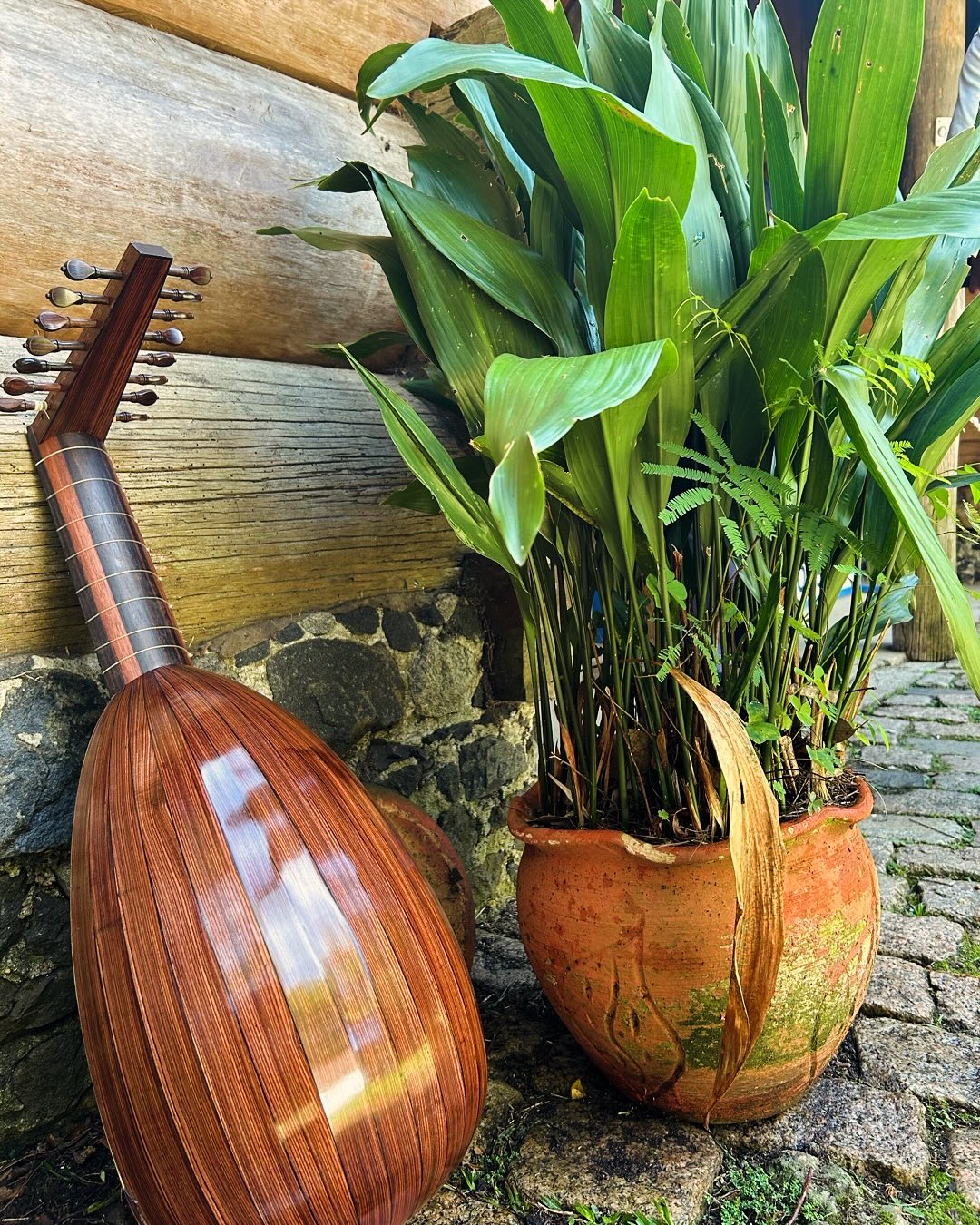 Renaissance lute Sixtus Rauwolf #renaissancelute #renaissancelutemusic #archlute #alauderenascentista #arquialaude #teorba #theorbo #earlymusicinstruments #earlymusic #luthiers #lutheria #lutheriaufpr #imperialrosewood #ebony #spruce