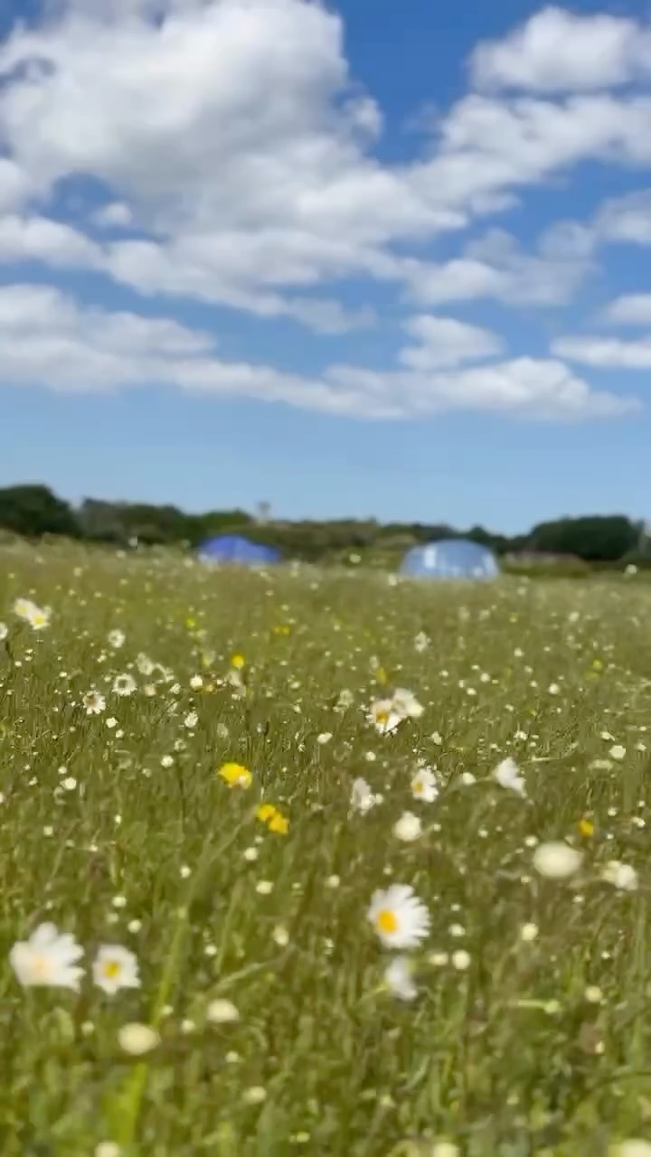 This is your sign, you need a camping holiday 🏕️
We wish you a safe and smooth journey if you're travelling to us today. We can't wait to welcome you! 🫶