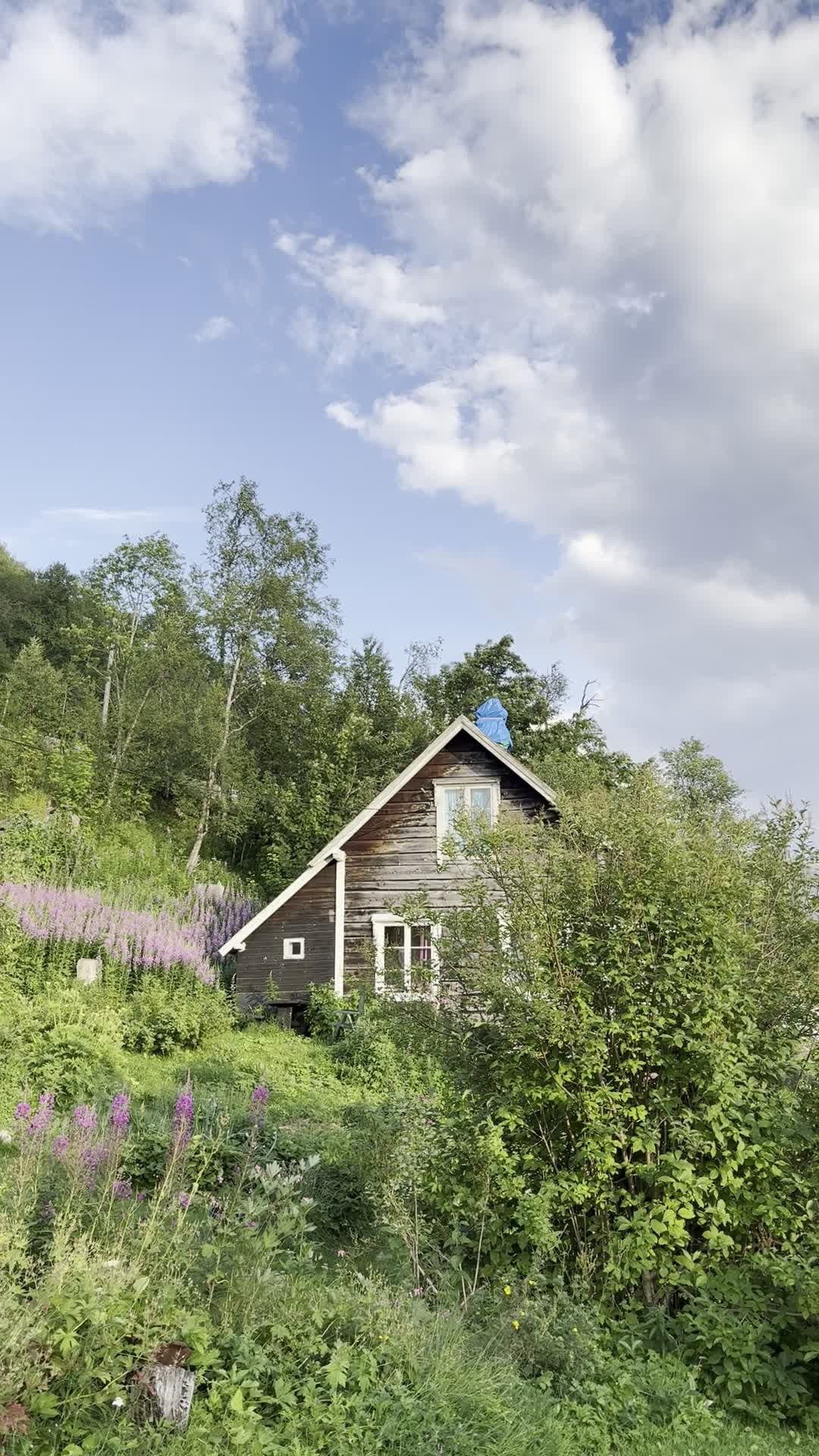 Det tordner og lyner rundt oss på alle kanter - men hos oss er det sol☀️🤗