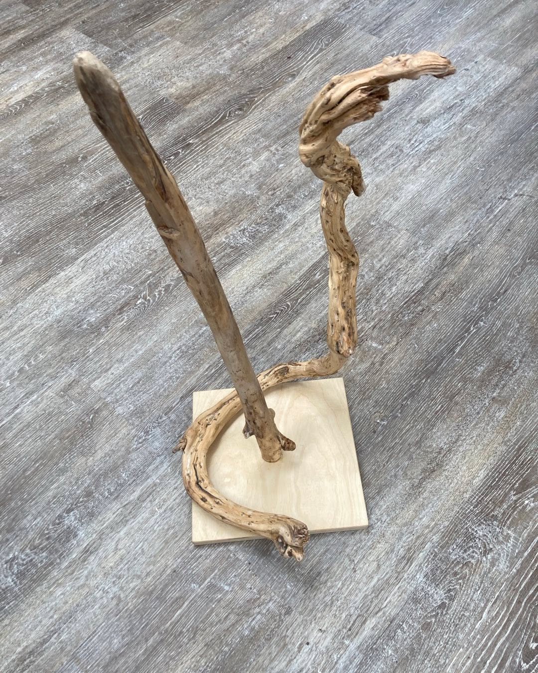 What’s is it?
A creative approach to a toilet roll holder of course!