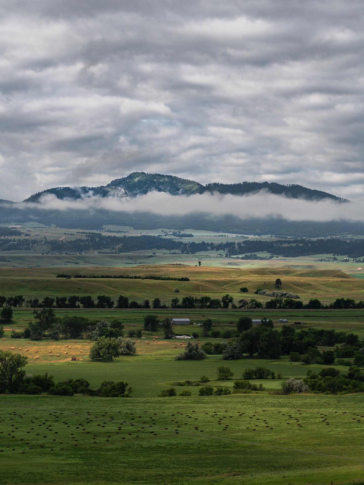 The other day I shot out of bed when I got word that the fog was low and hovering around base of Crow Peak. It’s been an on going mission this entire summer of capturing this prominent northern hills peak, and so far this attempt to capture it has been my favorite!
The pursuit continues on to keep capturing this peak!
ALSO! Today and tomorrow come find me at spearfish festival in the park! Today from 9 am - 7 pm & tomorrow 10 am - 4 pm. So many new pieces on display at my booth and if you ever wanted one of my bigger pieces, you definitely need to come down. Everything on the walls in my booth is needing to be sold before next seasons shows! You will not see deals like this again, I can promise you that! 🙌🏽
So come down and see me and support all the artists!!
#crowpeak #visitspearfish #southdakota #landscapephotographer