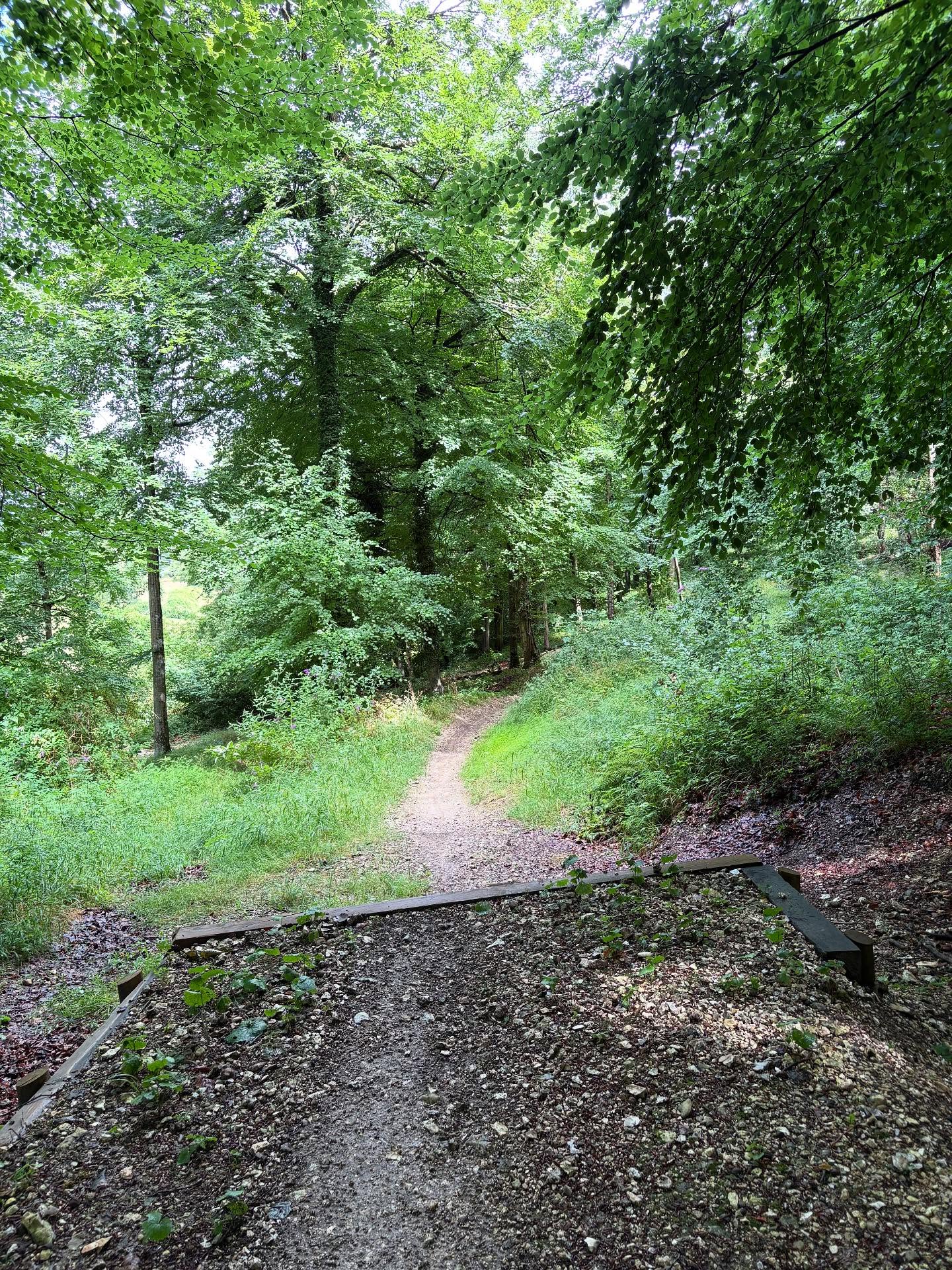 Prime conditions on the hill after the rain!
#mucoff #dmrbikes #okefordhillbikepark