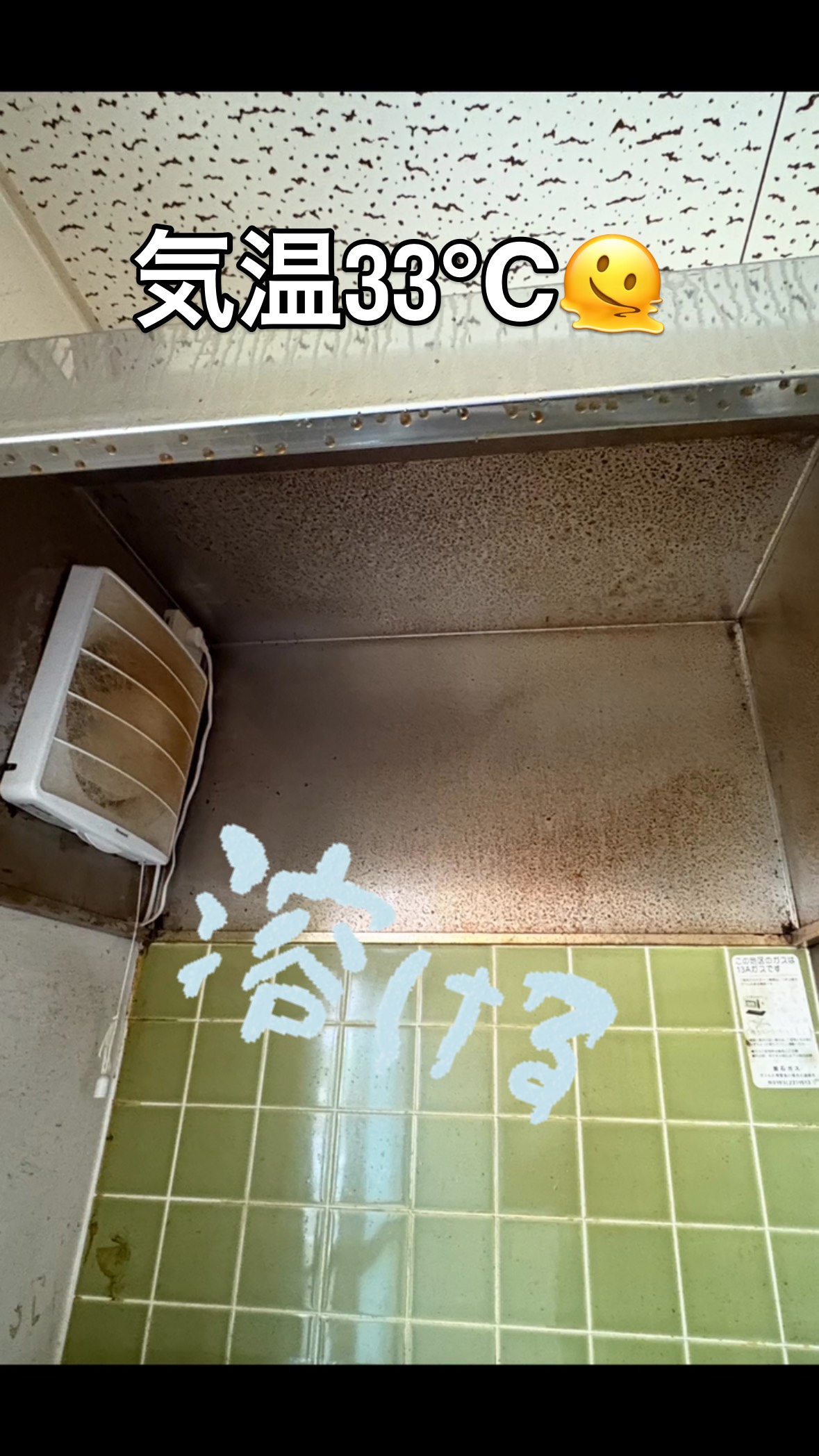 #蓮 #レインボーハス園 #生出 #生前整理 #ハウスクリーニング #八幡平市 #盛岡市 #双頭蓮 #遺品整理弘光 #釜石#宝介釜石