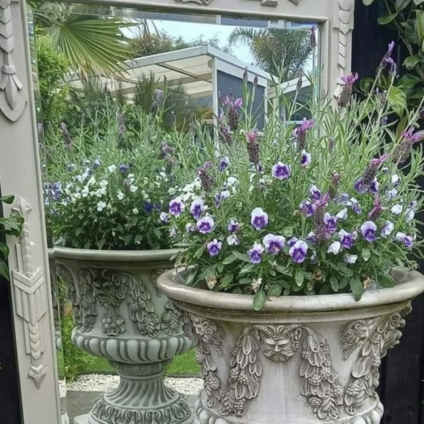 ๐ธ TICKETS ARE ON SALE NOW!! ๐ธ
Get your tickets for the Rotorua festival of Gardens 2025 now via our website and spend a day or 3 exploring fabulous gardens throughout the Rotorua region, we have over 40 incredible gardens in the festival this year, some of which will have live entertainment, product demonstrations as well as - art, crafts, plant and food stalls within them to purchase from.
Tickets on sale now via our website
#rotorua #rotoruagardenfestival #gardensnz #nzgardener #nzgardens #nzgardenfestival #rotoruaevents #rotoruathingstodo #rotoruafestivalofgardens
*some photos used may be from previous festivals *