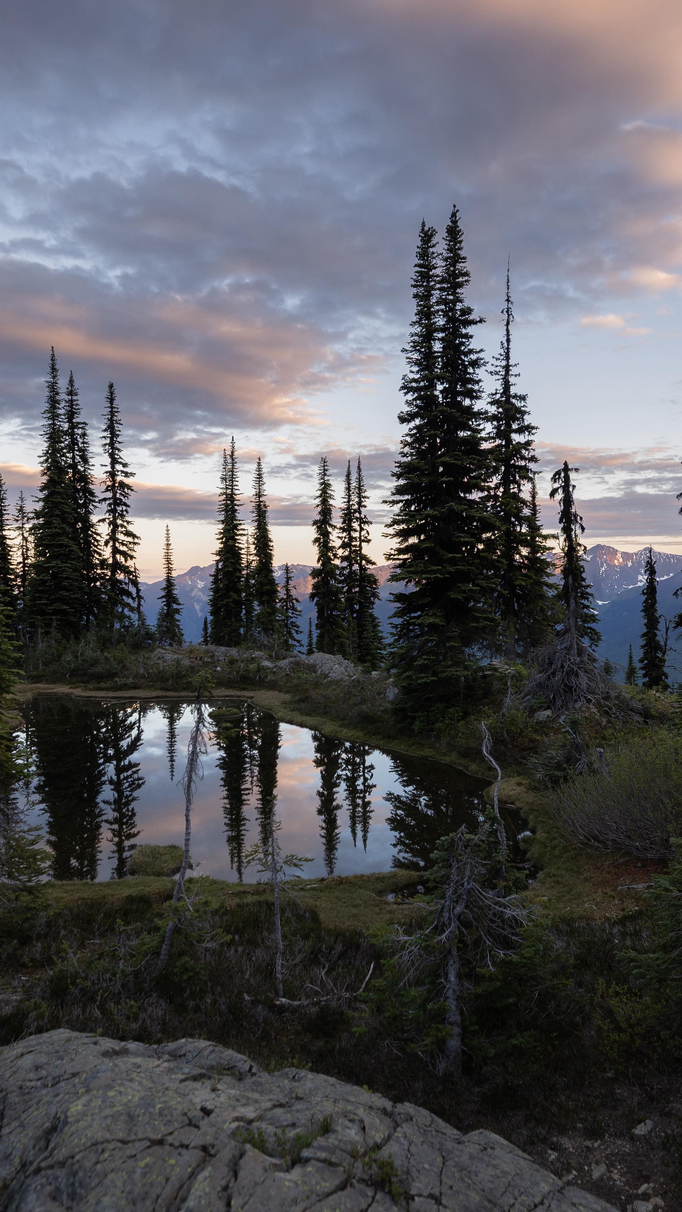 What makes me happy? Hiking 𼞠, camping in tents đď¸, finding waterfallsâŚ.mainly just being outdoors!
Headed out of service until Sunday! Going on another backpacking trip in Strathcona Provincial Park!
#hiking #explorebc #exploremore #backpacking #camping #campbellriver