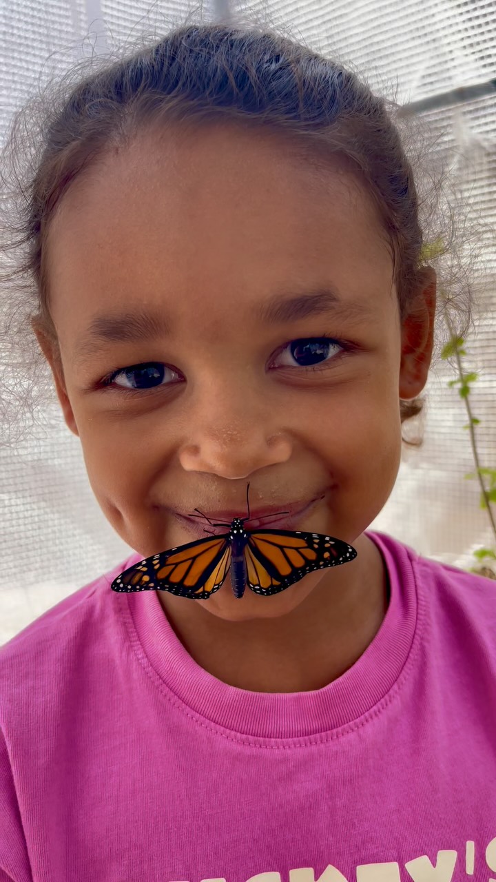 🦋✨ Thank You for Believing in the Magic ✨🦋
To everyone who has donated to our GoFundMe — thank you from the bottom of our hearts. Your kindness is helping us build something truly special: a sanctuary where butterflies bloom, wildflowers dance, and young minds discover the wonder of nature. 🌿🌼
With your support, we’re one step closer to growing the Blackborg Butterfly Sanctuary into a place of learning, joy, and transformation. Every dollar brings more nectar plants, more fluttering wings, and more smiles.
We’re so incredibly grateful… and we’re just getting started. 💛
If you haven’t yet had a chance to donate but would like to be part of this magical journey, the link is in our bio! ✨ Let’s grow something beautiful together.
#Blackborg #ButterflySanctuary #GoFundMe #ThankYou #ButterfliesAndBlooms #NatureMagic #SupportSmallDreams #MonarchsAndMore #PollinatorParadise #GratitudeInBloom