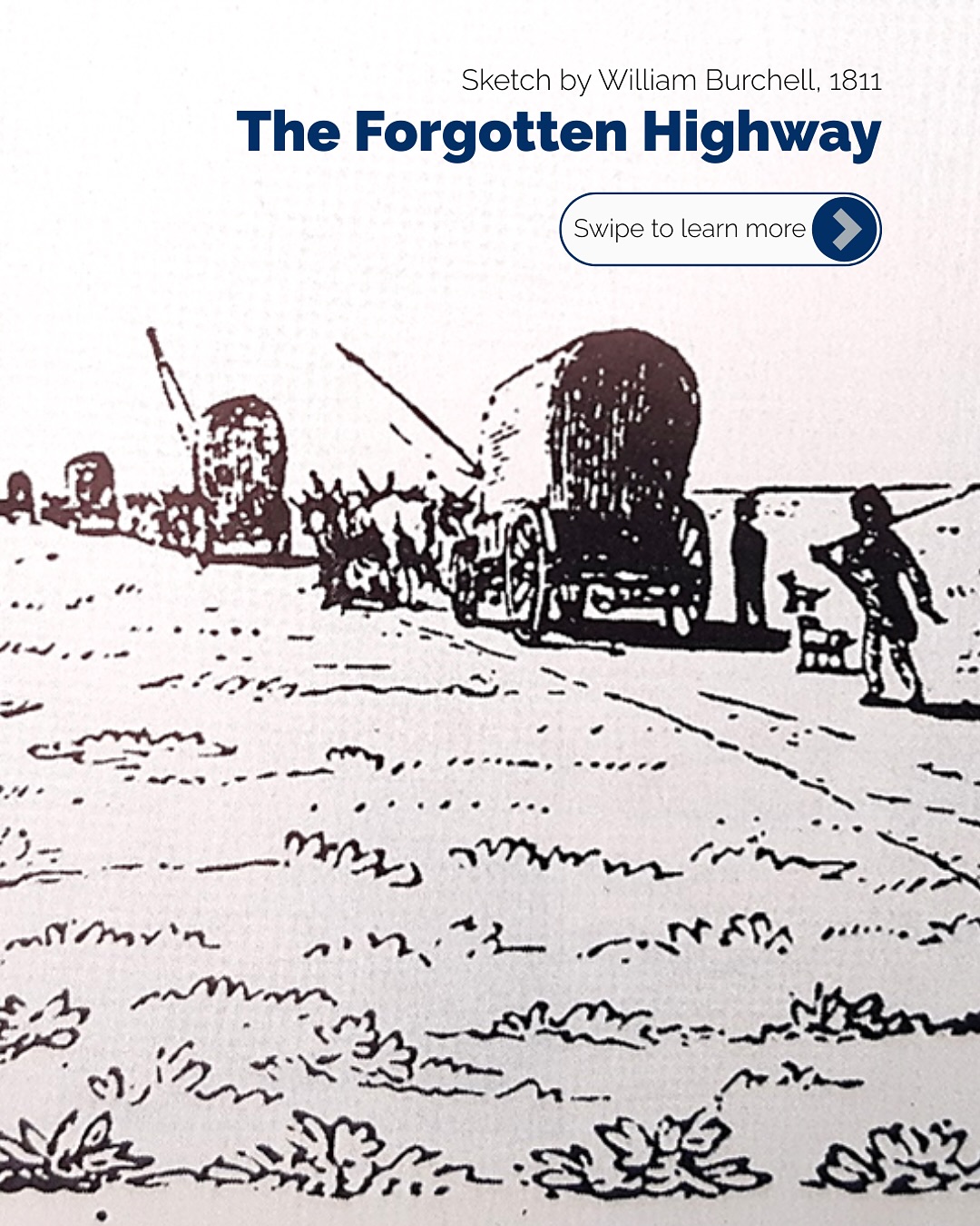 Do you know about the Forgotten Highway?
Like Route 66, it’s a journey through quirky towns, off-the-map gems, historic sites and wide open Karoo skies stretching all the way from Tulbagh to Kuruman. But it’s more than just a scenic road trip. It’s a path through the quiet history of the Karoo.
From the mid-1700s to mid-1800s the
!Xam (San), KhoeKhoe (Khoi), Tswana, missionaries, explorers and traders moved along this path. It carried coloured farmers escaping repressive Colonial practices, run-away slaves, hunters and trekboers. It became a lifeline for those heading north through the Karoo.
Cultures met here. Languages evolved and it shaped a part of South African history now largely forgotten.
Would you explore this route? Tell us in the comments.
You can find more info on the Karoo Development Foundation’s website. And for your stop in Sutherland, tap the link in our bio to book your stay with us.
For more information, contact Doreen Atkinson on doreenkaroo@gmail.com, or whatsapp 071 401 2583.
#luxuryecotravel #darkskyreserve #travelsouthafrica #karoo #karoolife #karooaccommodation #hikingadventures #hikingsouthafrica #cheetahconservation #cheetah #sustainabletravel #stargazing #astrophotography #sutherland #astronomylover #wideopenspaces #natureescape #nightphotography #nightsky #astronomy #thisissouthafrica