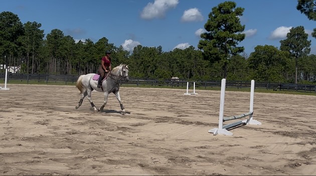 We all need to be teachable! Being a forever student is what draws me in to this work, no matter what it is I’m doing! I am a creature of habit, but also love to step outside of my comfort zone (within reason lol).
Today I had my first jump lesson after not doing so for about 8 years! It was a blast and while there were a lot of similarities in how I was being coached for jumping vs how I teach dressage lessons, the application was very different in a jump saddle and 2 point position. My legs will definitely be a bit sore tomorrow but my heart is full! Especially since I got to lesson on a lovely mare named Luna 🥰.
Big thank you to Alicia and Flo over at Old Lane farm for facilitating this today!!