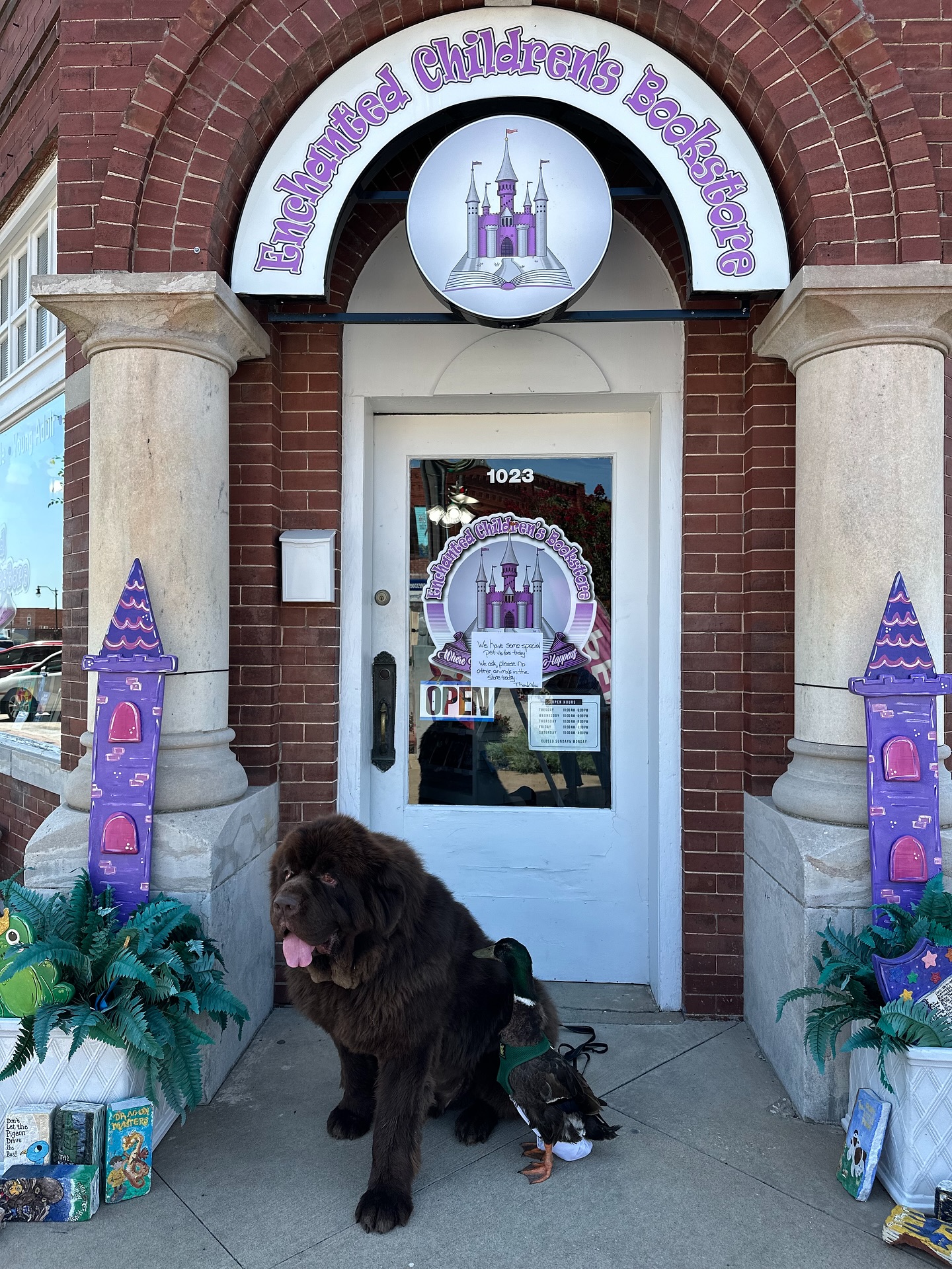 We had the best time at @enchantedchildrensbookstore! We had a great group, the boys were perfect per usual and it was so fun to finally read our new book out loud! Thank you for coming to see us 🥰
#newfoundland #bestfriends #duck #dog #dogsofinstagram #ducksofinstagram #childrensbook