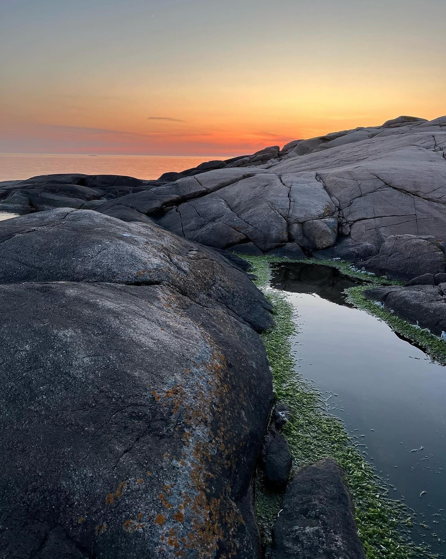 Tångpaddling/ Sea Weed safari! Lär dig mer om tången och hur du kan göra egna salta krispiga chips på kajakturen. Tång är en fantastisk krydda och smaksättare i mat som många inte känner till! Vi plockar från kajaken och snorklar i västkustens klara vatten.
Sea weed safari! Learn how to make crispy salty chips on your next kayak adventure. Sea weed is a fantastic herb and flavour in food. We harvest from the kayak and snorkle in the clear waters. Join us next time!
Datum/ dates:
18/7- Platser kvar
9/8 -Fullbokad
15/8 Platser kvar!
Boka/ https://www.nautopp.com/tangpaddling-med-catxalot