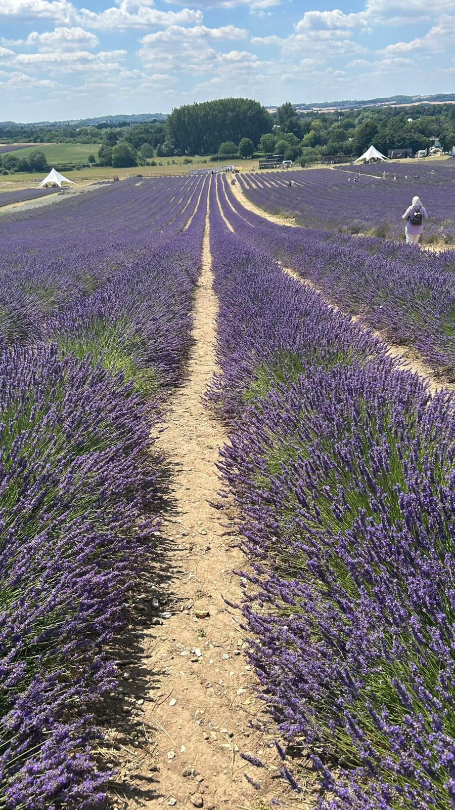 Our trip to Lavender Fields in Hitchin was one of the most enjoyable trip we have had so far. Women were so happy exploring the fields, cutting lavender and mindfully enjoy the nature and being together. We had tea and cakes in the old barn and learned a lot about the benefits of lavender.
#womenempowerment #womensupportingwomen #womeninspiringwomen #activewomen #forwomenbywomen #picnic #enjoylife